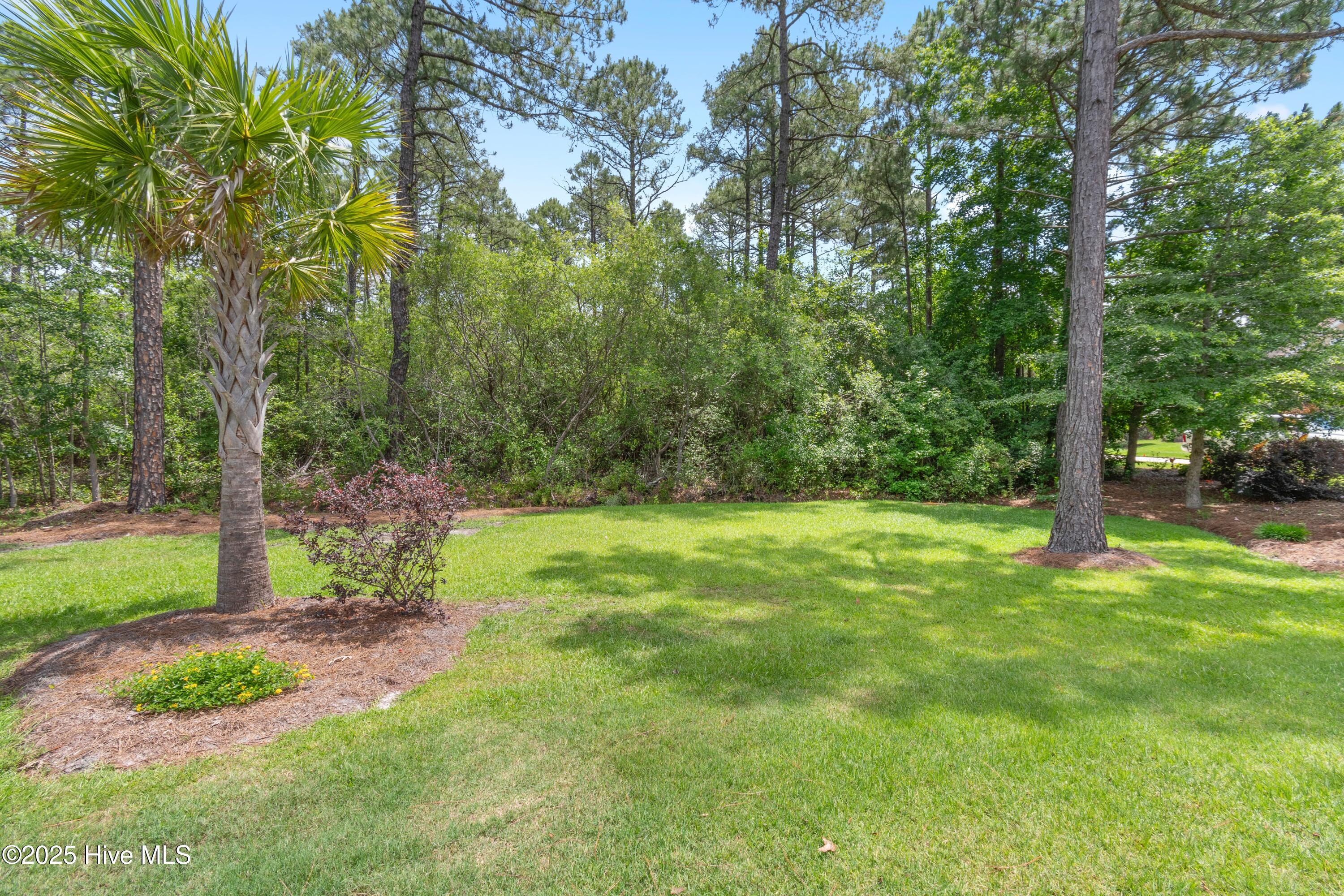 1732 Mute Swan Lane SE