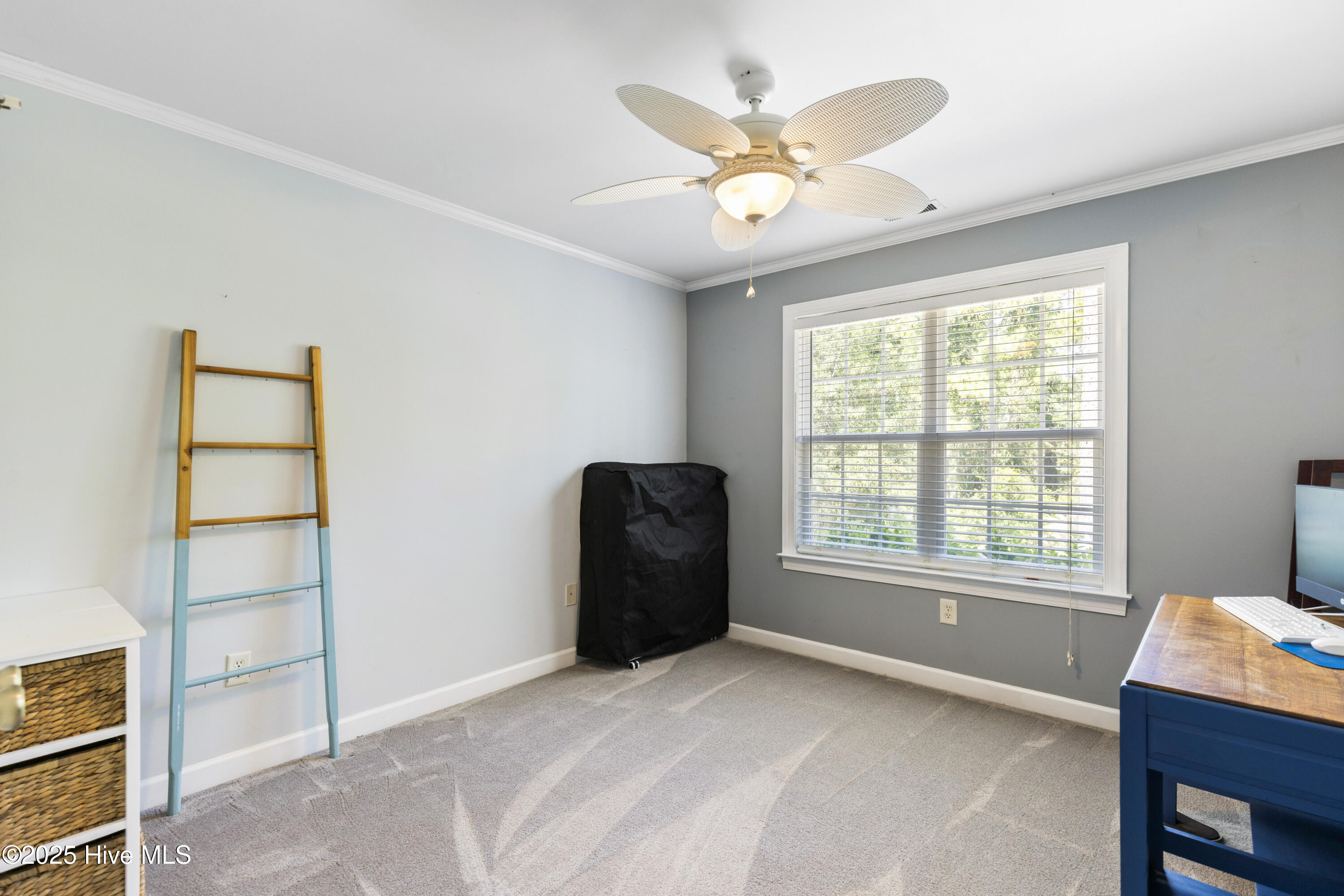 1298 Spring Lake Drive