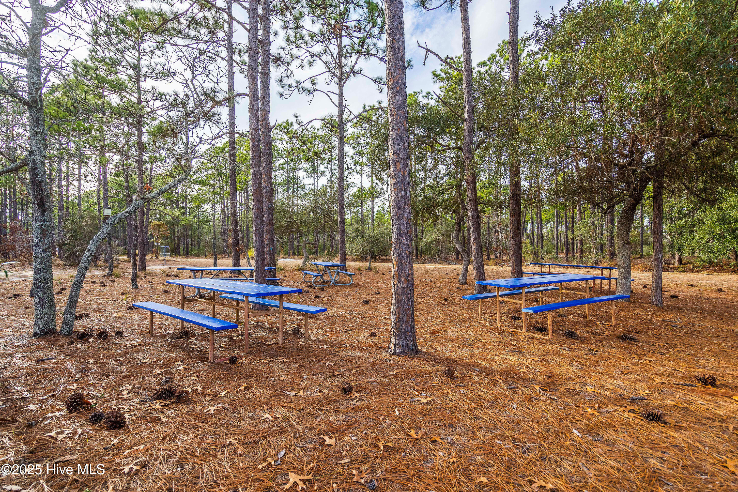 1298 Spring Lake Drive