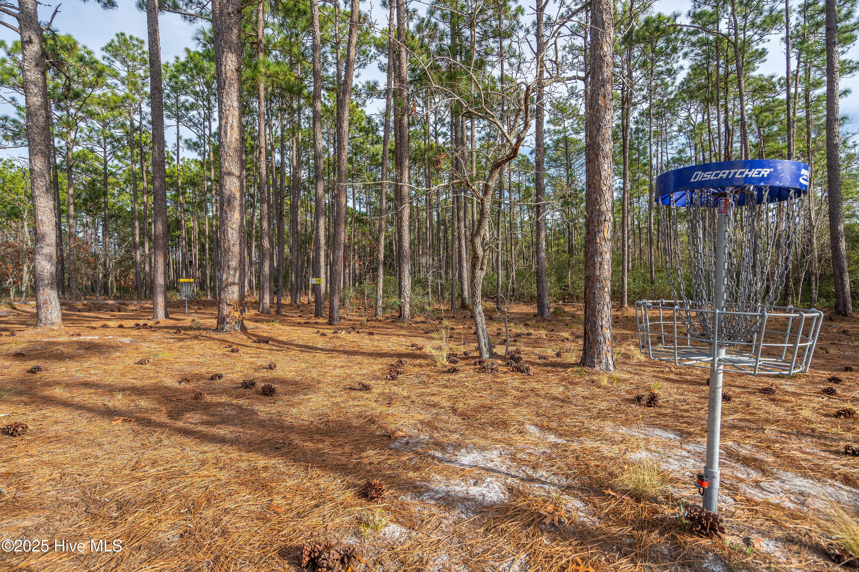 1298 Spring Lake Drive