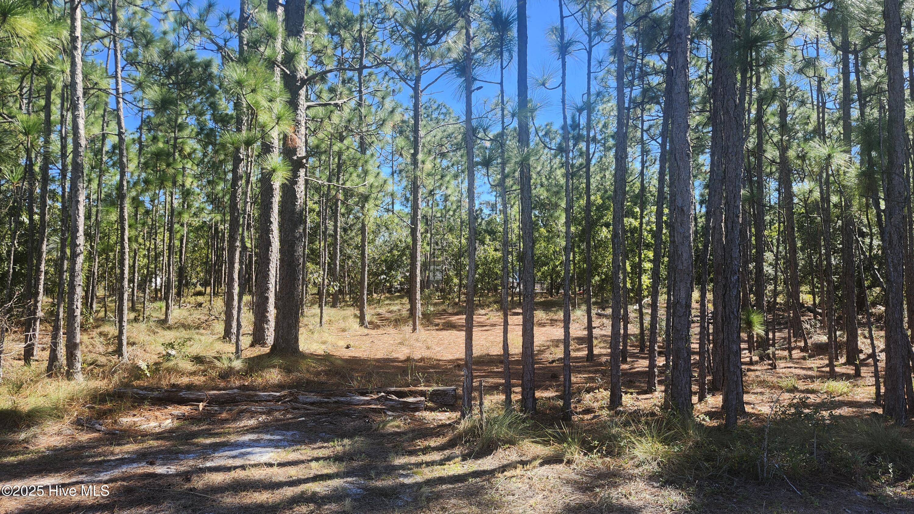 Lot 303 303 Mission Road