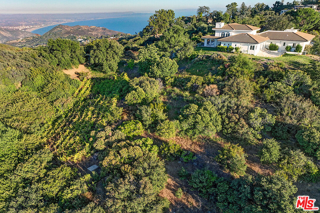 21965 Saddle Peak Rd