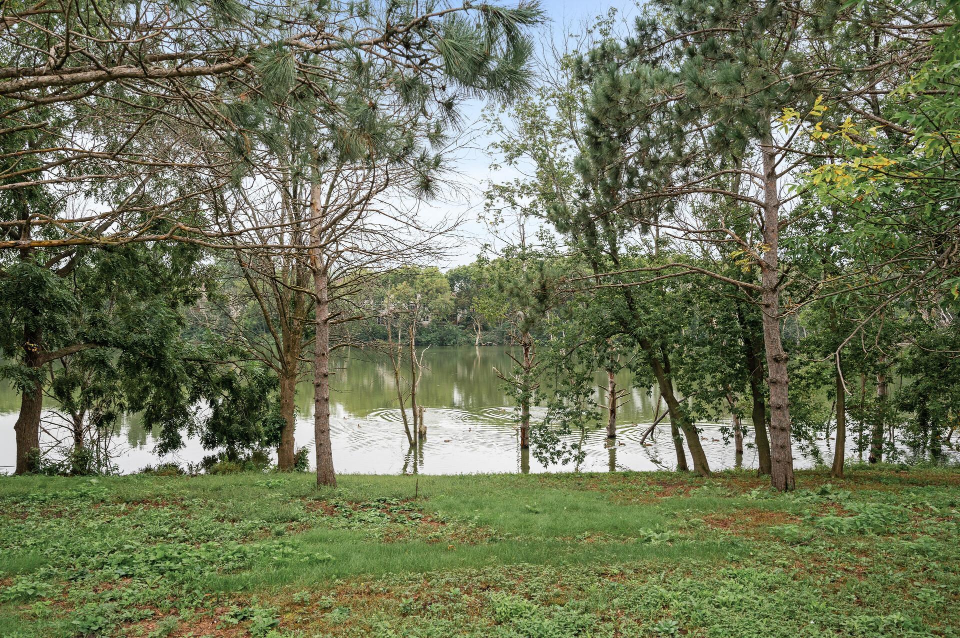 15368 Chili Court