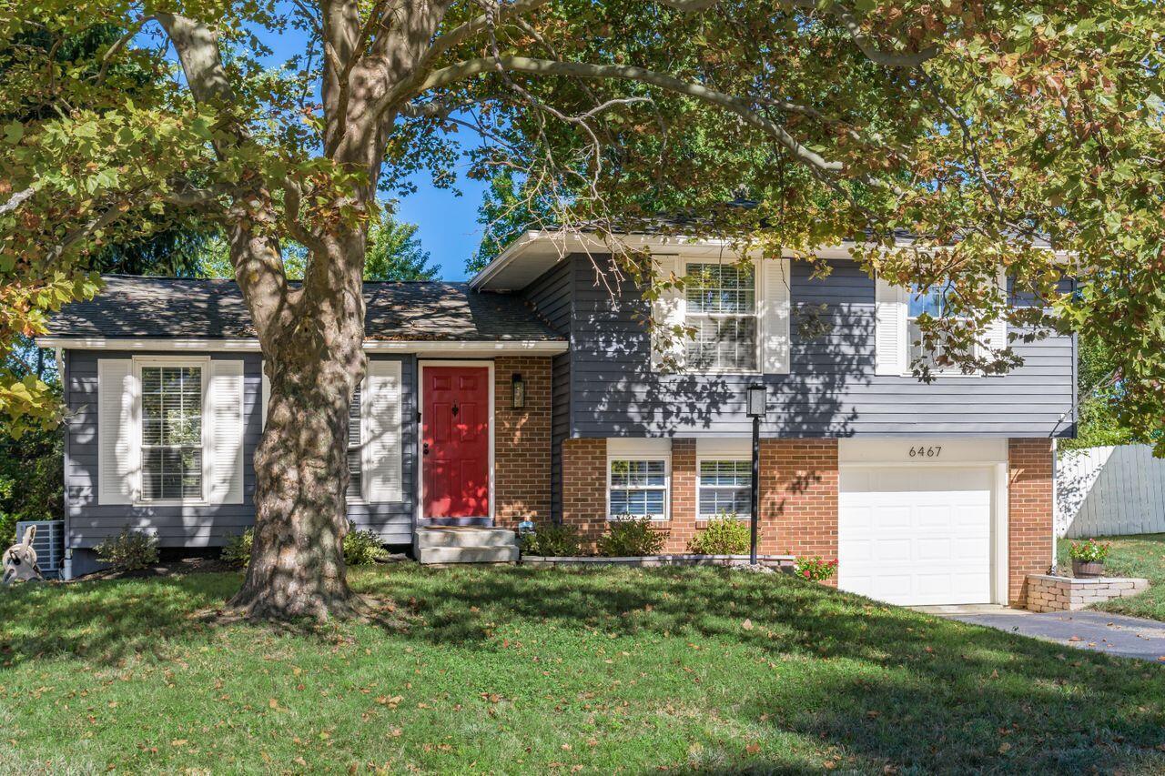 6467 Montford Road W