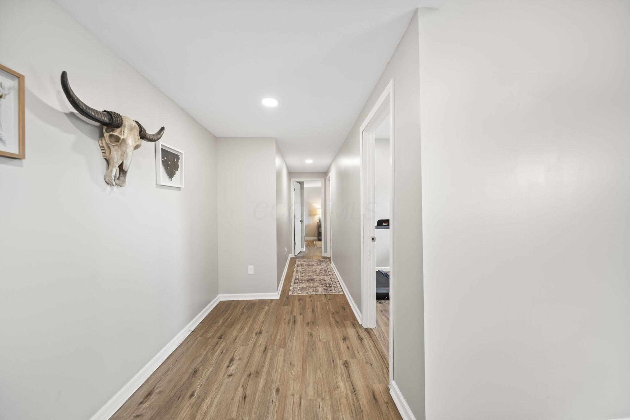 Bright hallway with wood-look floors, a patterned runner, and a horned skull mounted on the wall.