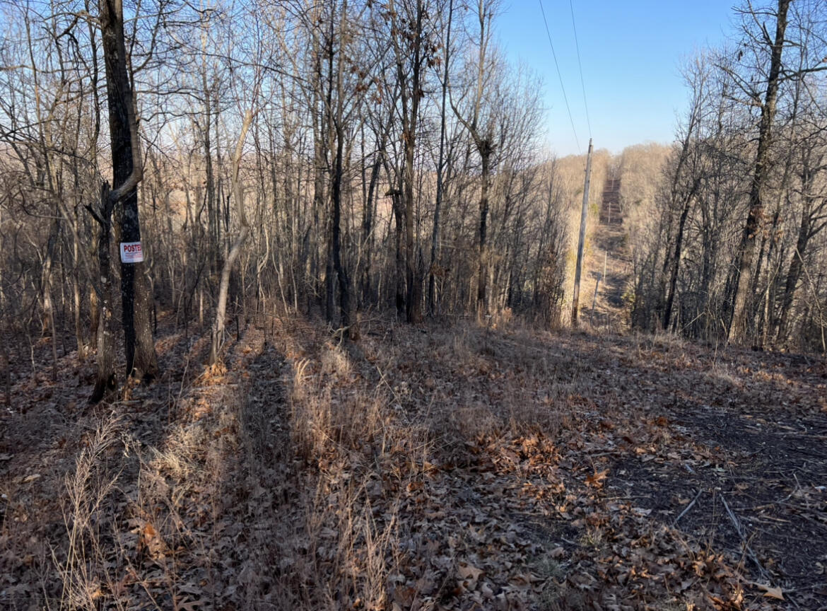 744 North State Highway 125