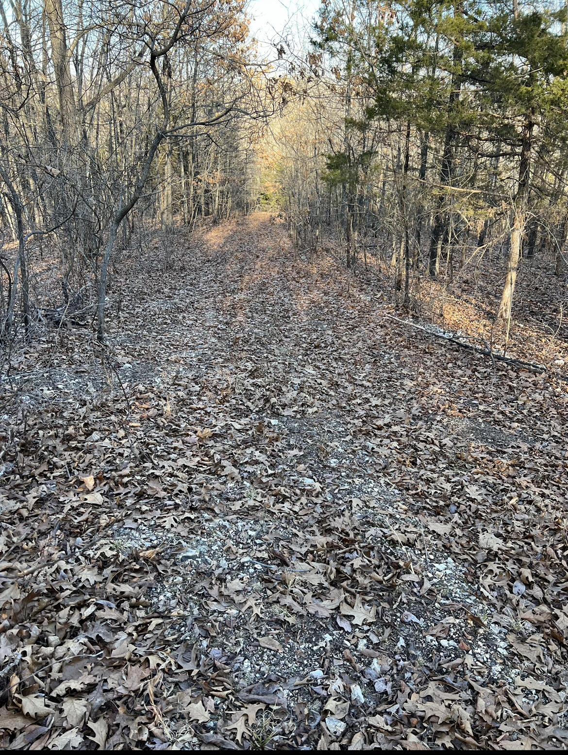 744 North State Highway 125