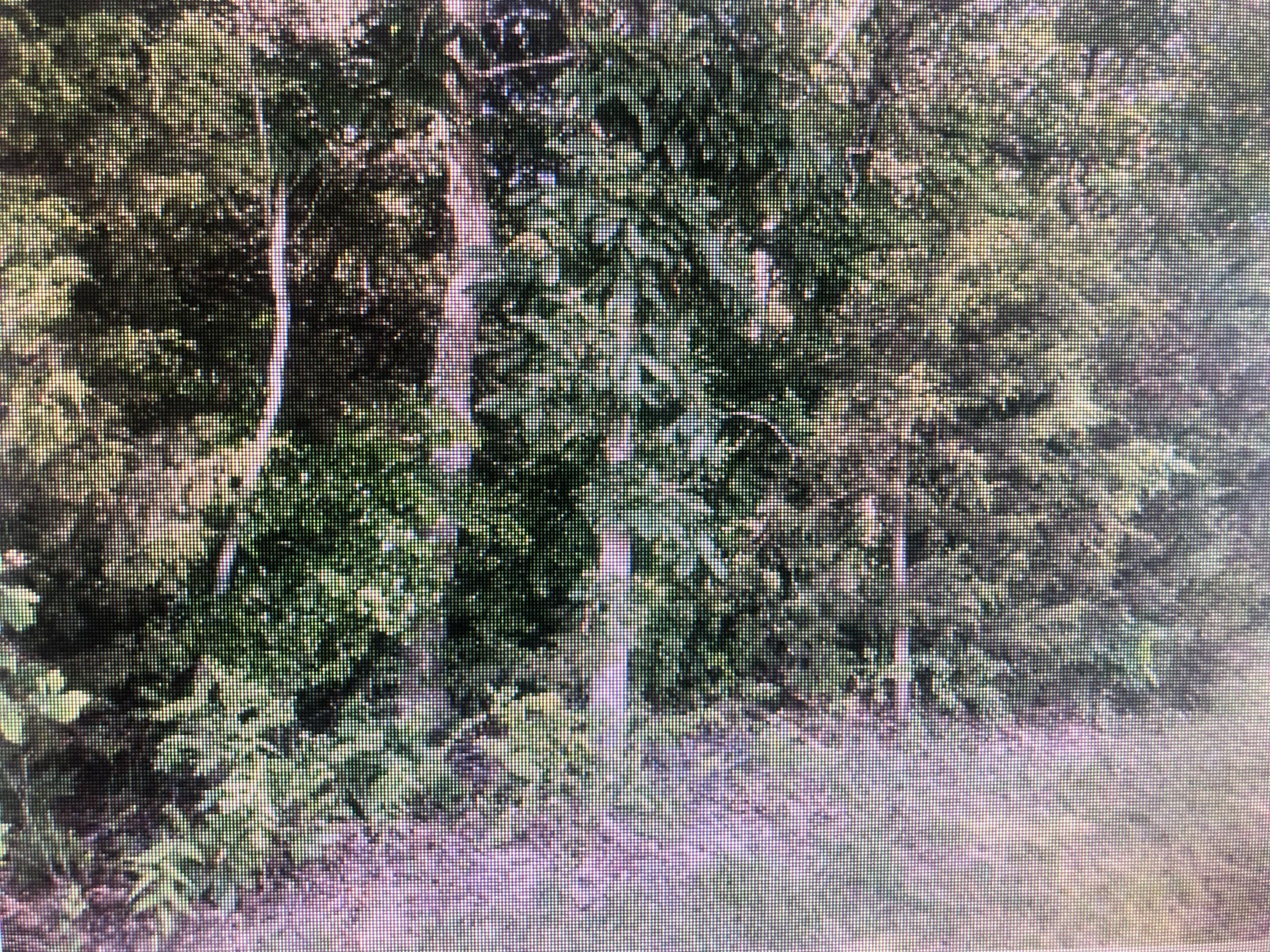 0 North Farm Rd 157