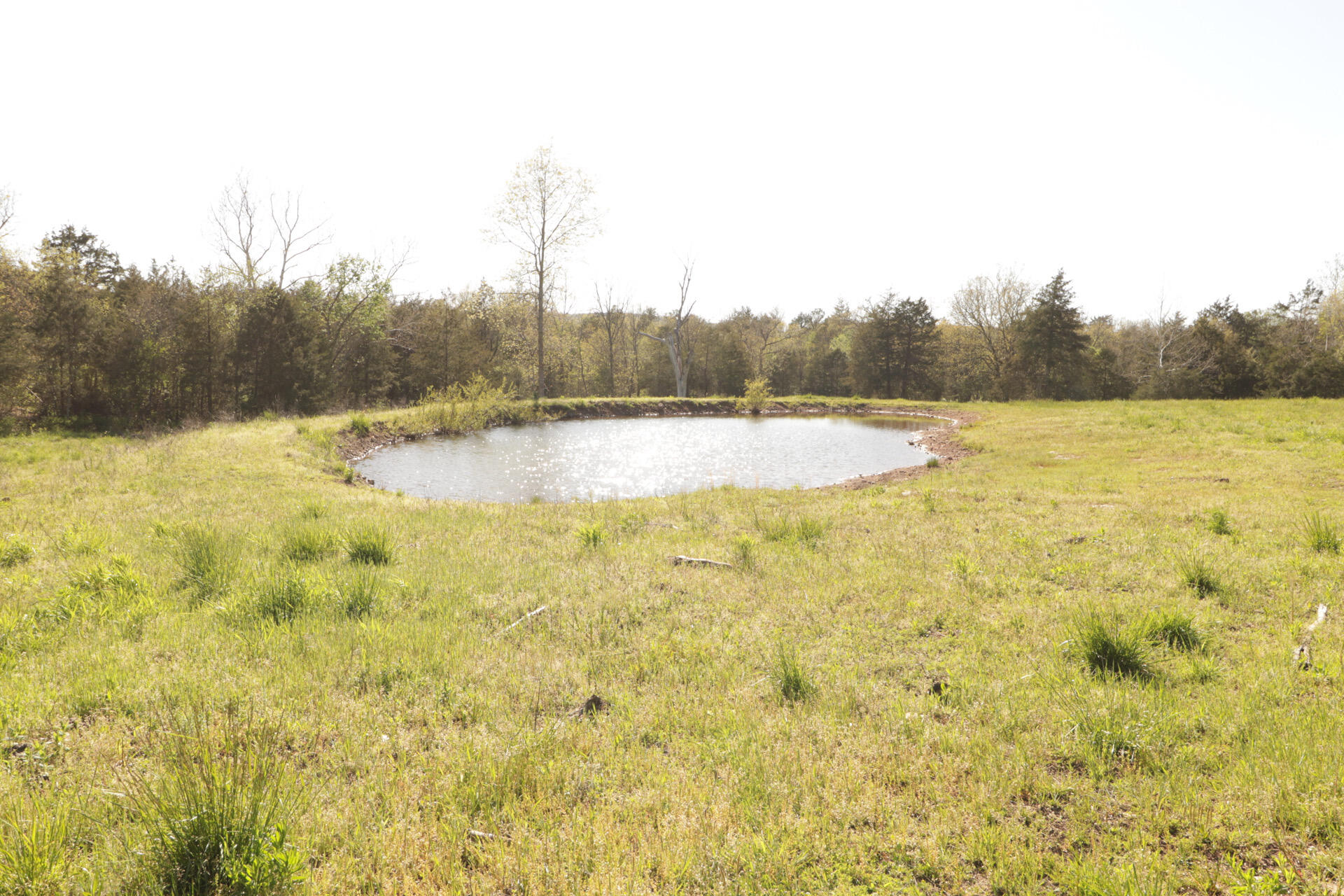 1185 Cedar Lane