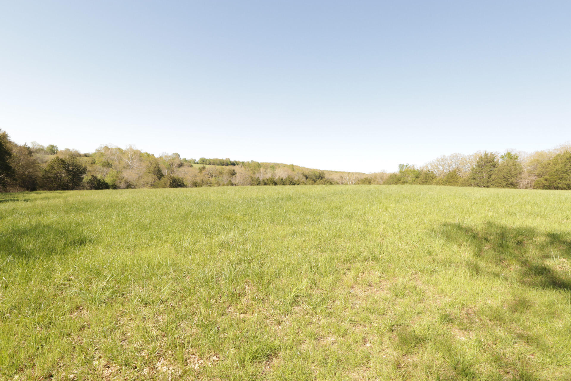 1185 Cedar Lane