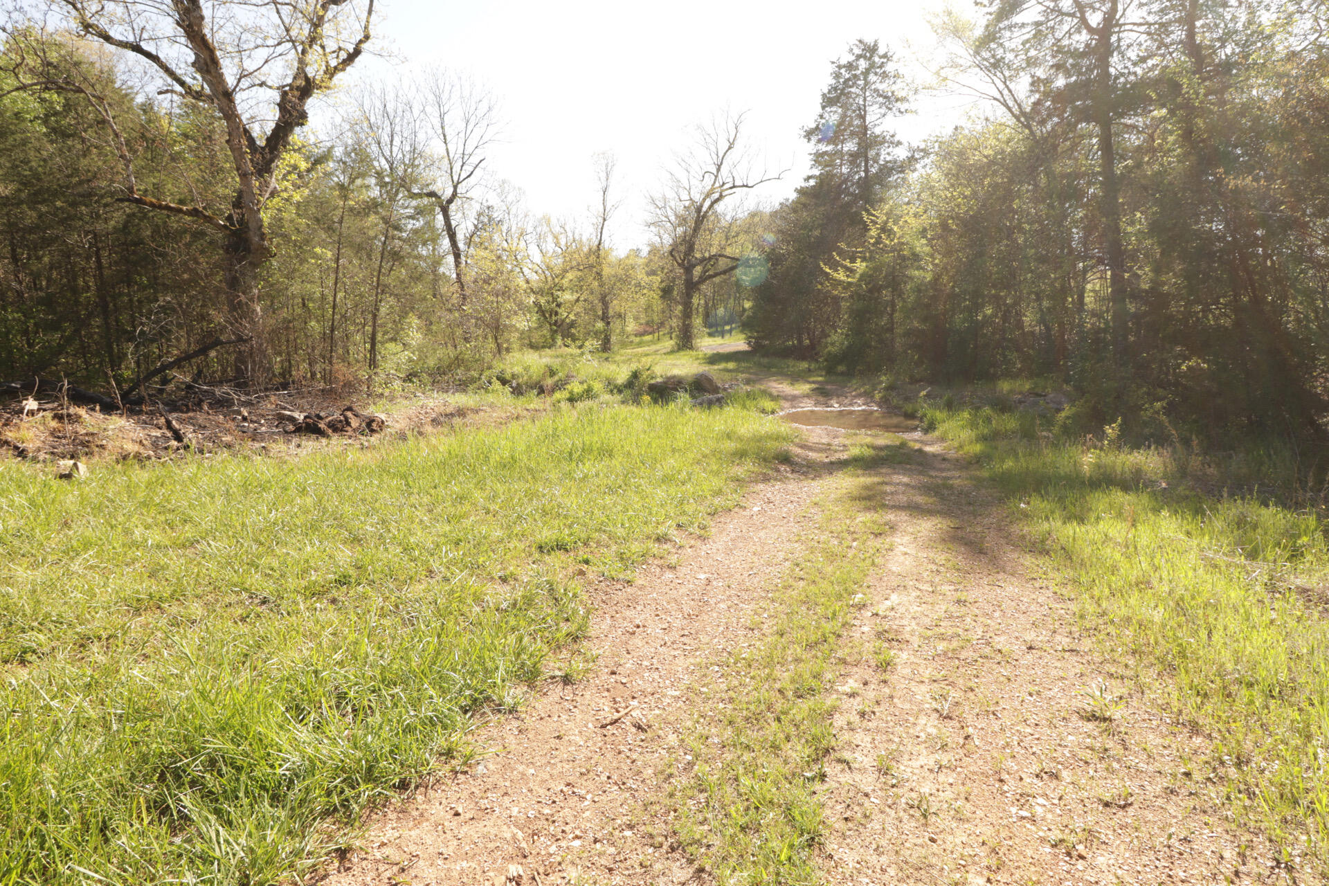 1185 Cedar Lane