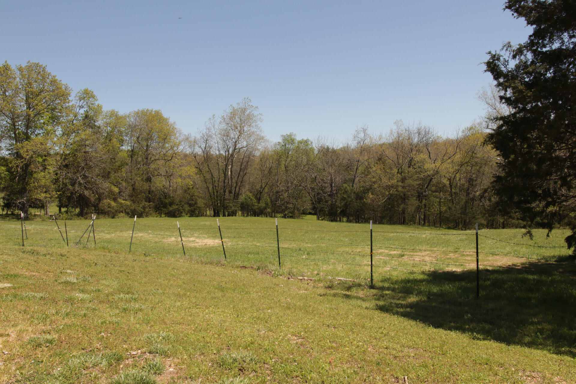 1185 Cedar Lane
