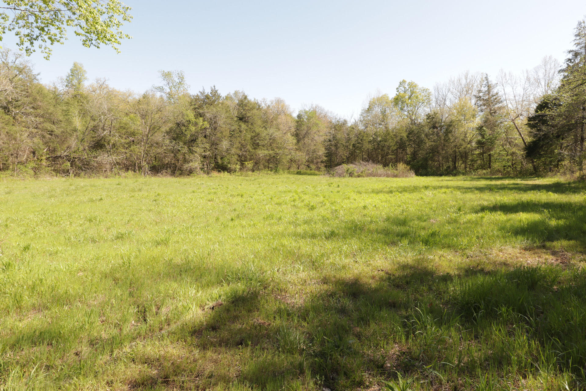 1185 Cedar Lane