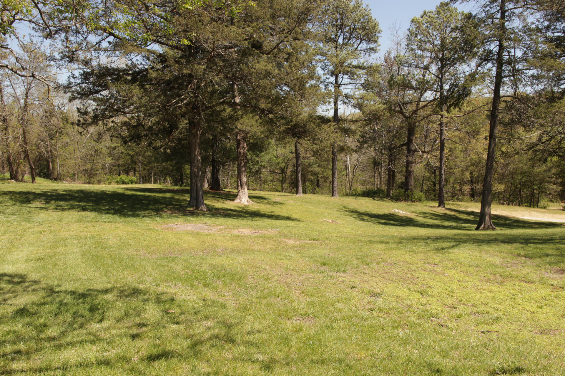 1185 Cedar Lane