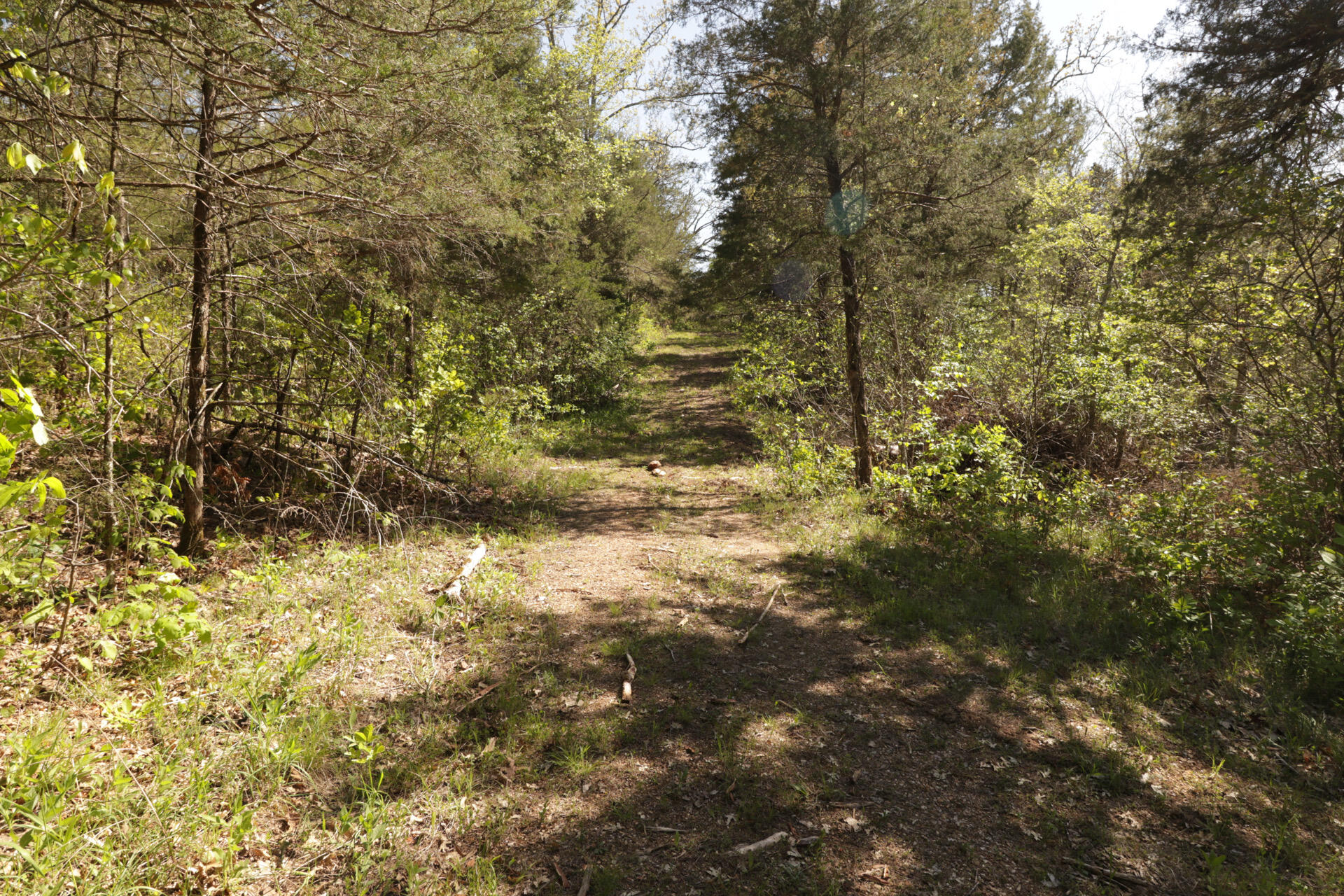 1185 Cedar Lane