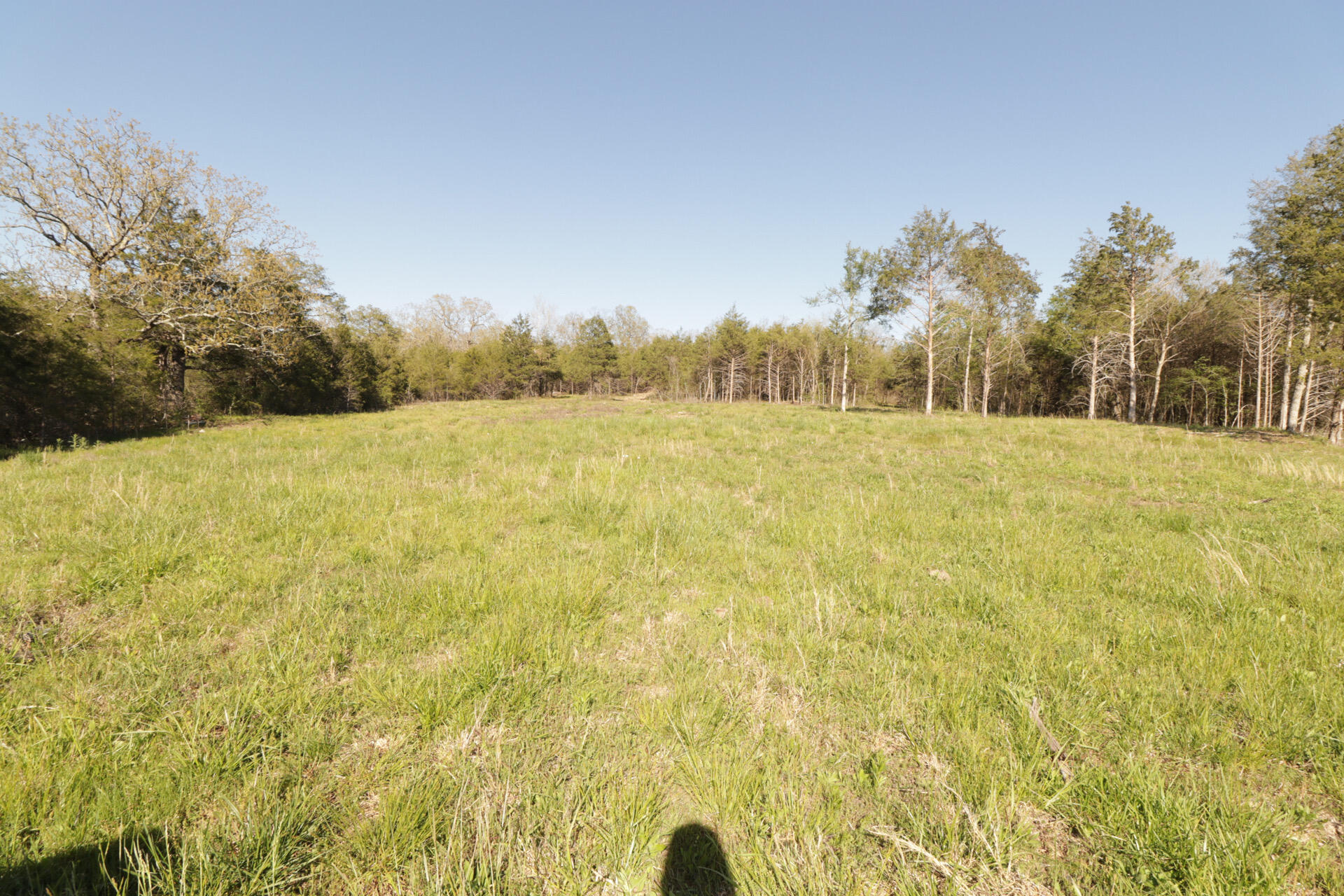 1185 Cedar Lane