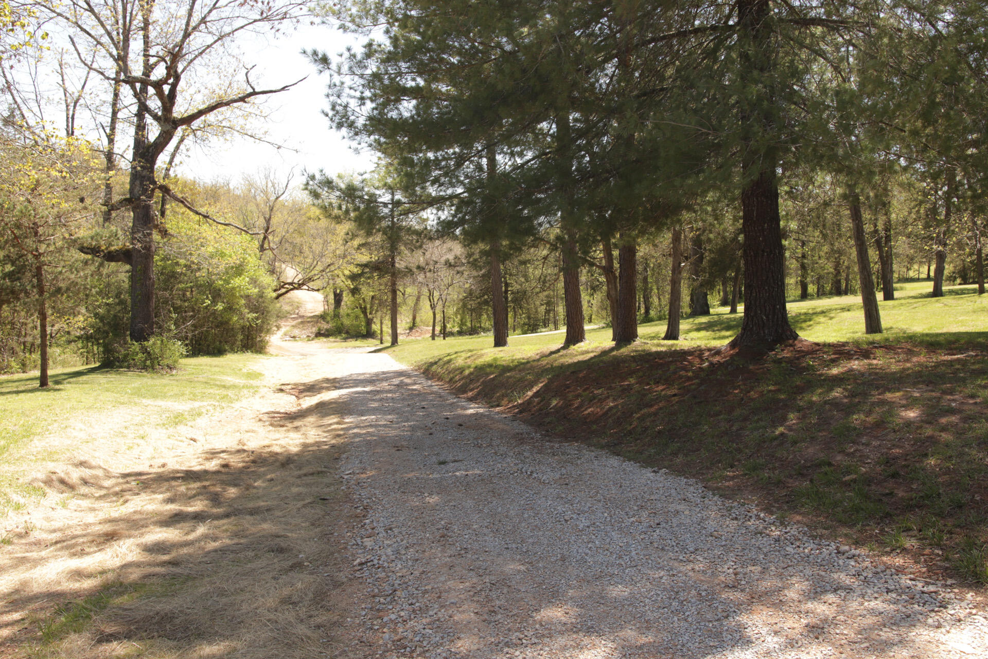 1185 Cedar Lane