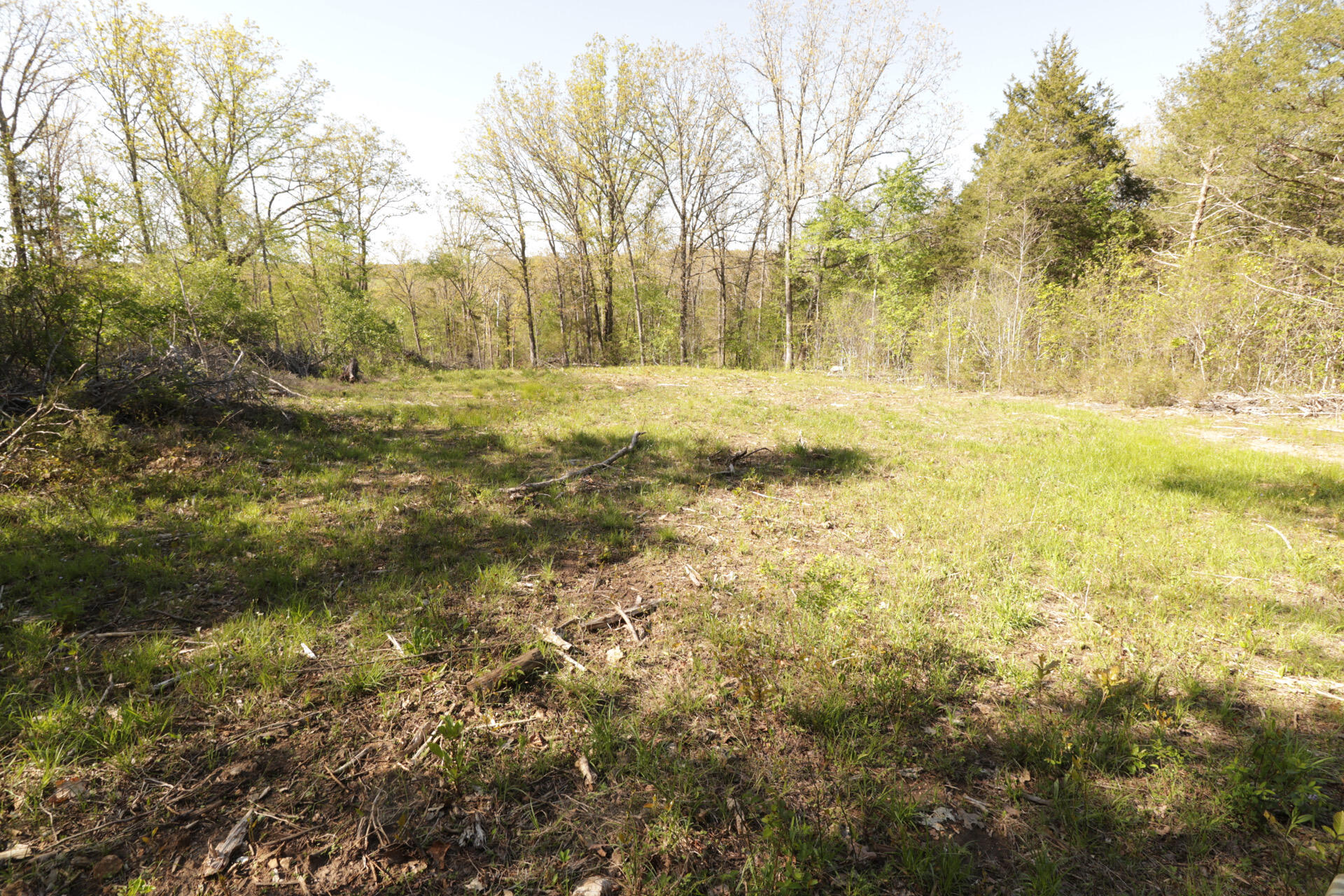 1185 Cedar Lane