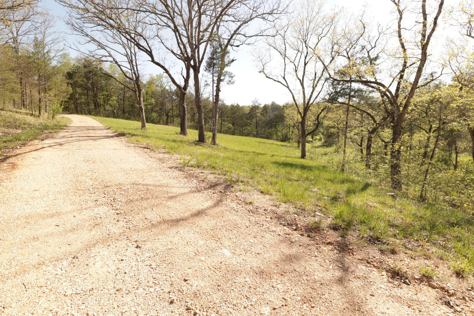 1185 Cedar Lane