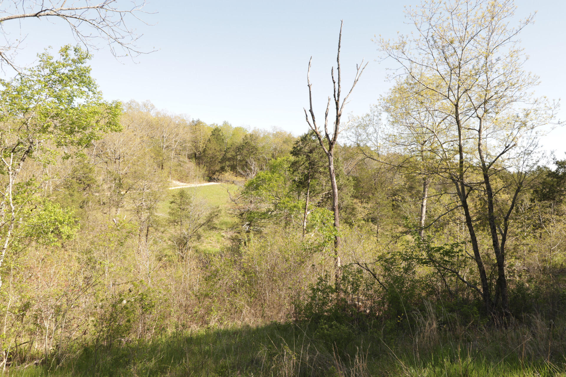1185 Cedar Lane