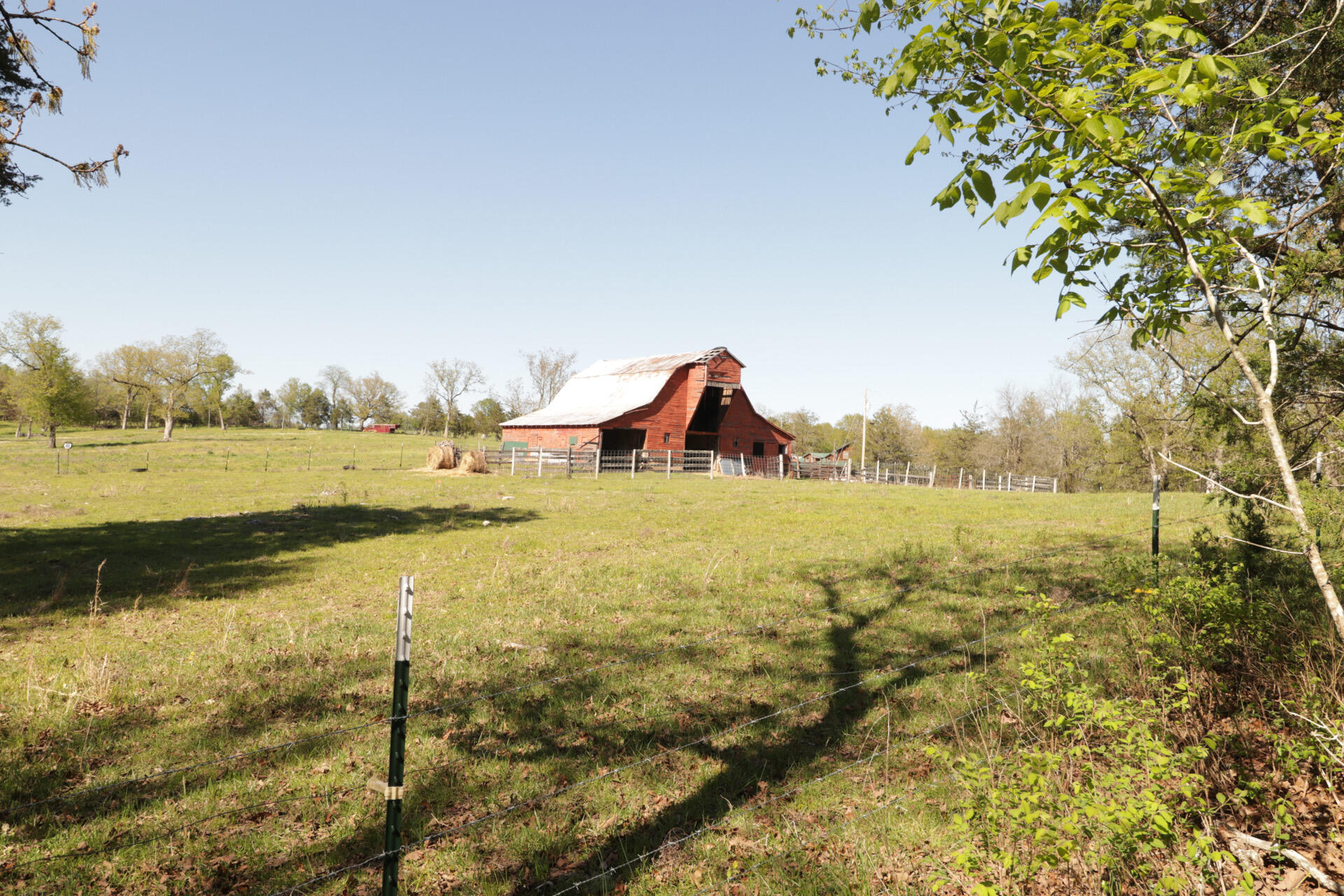 1185 Cedar Lane
