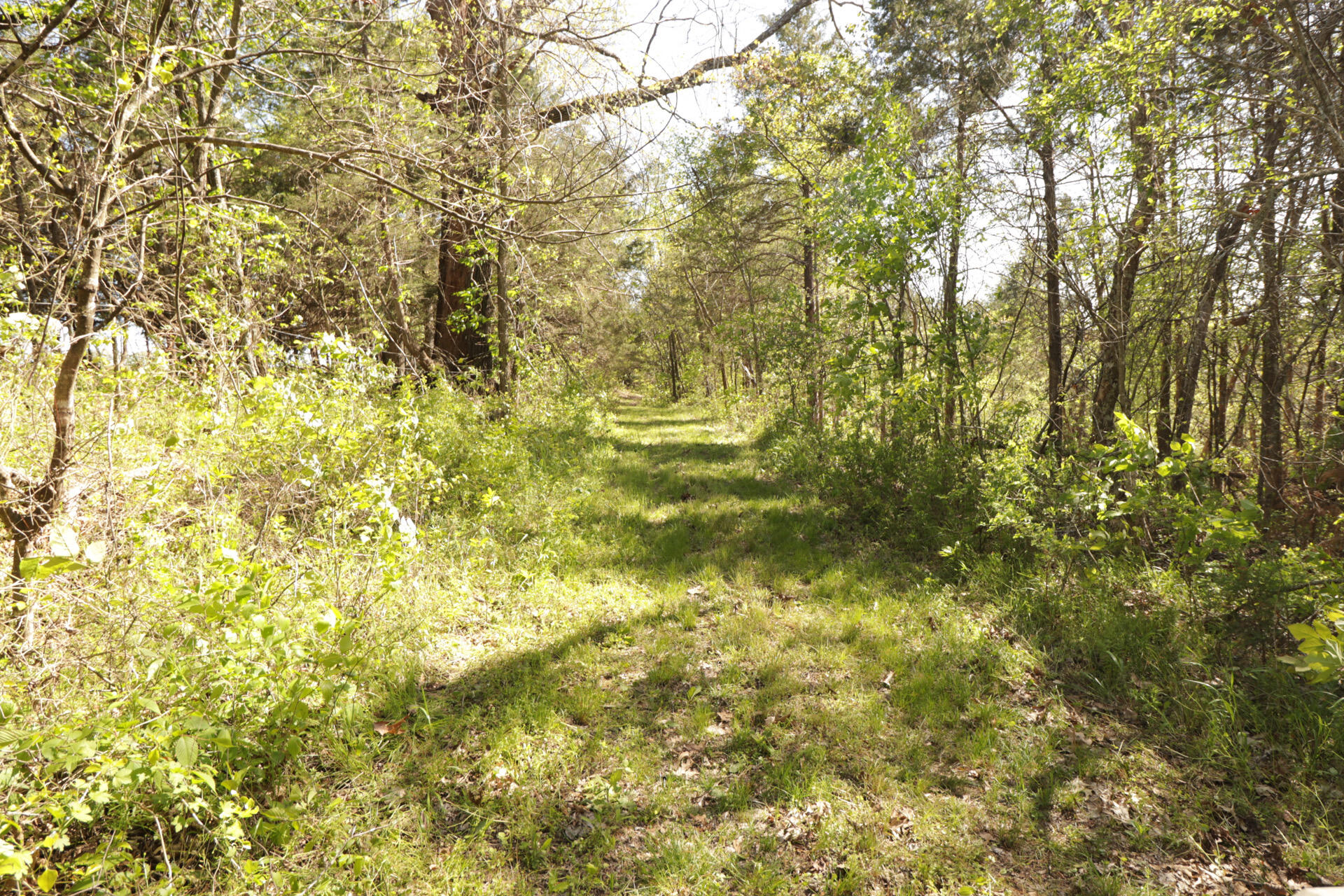 1185 Cedar Lane