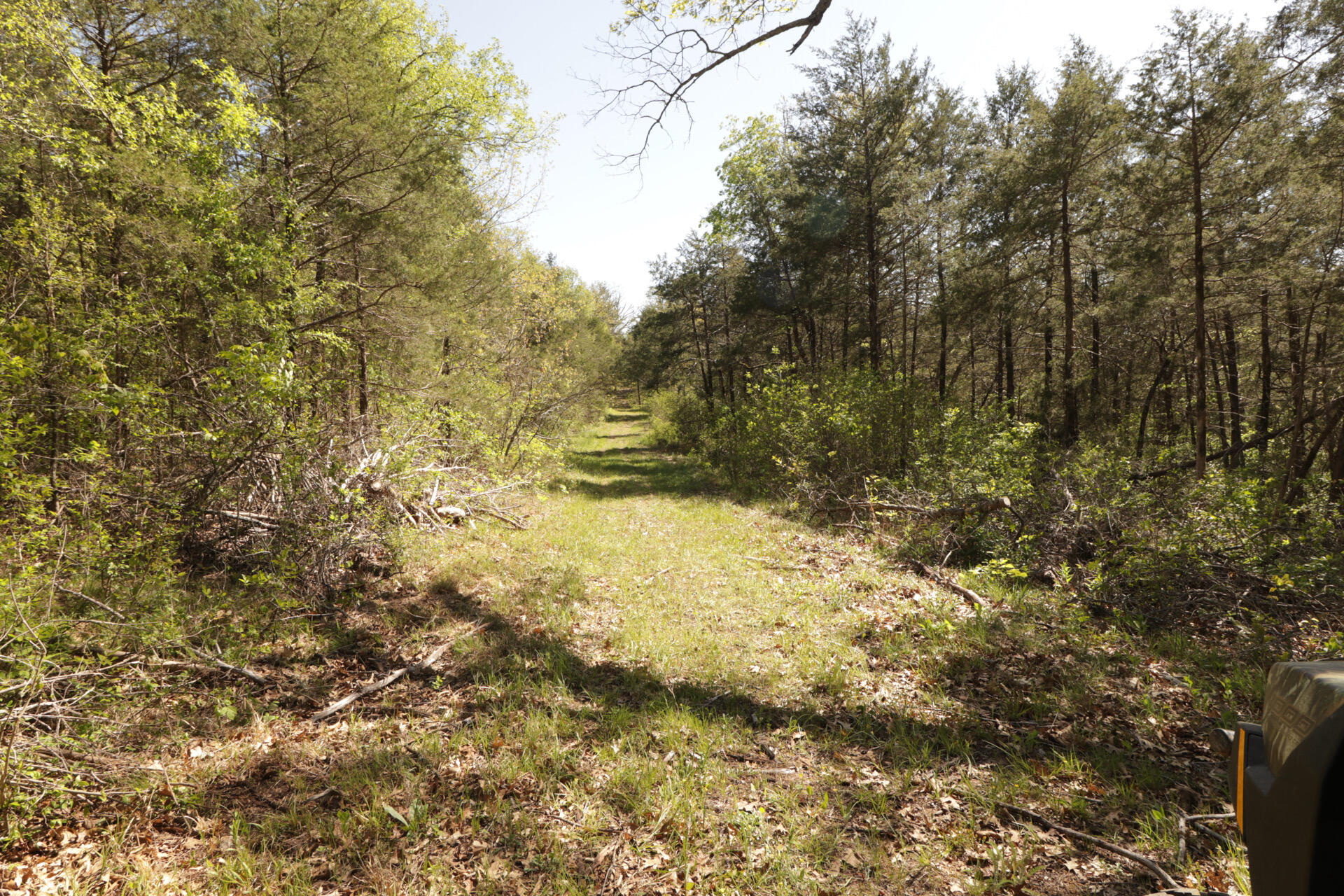 1185 Cedar Lane