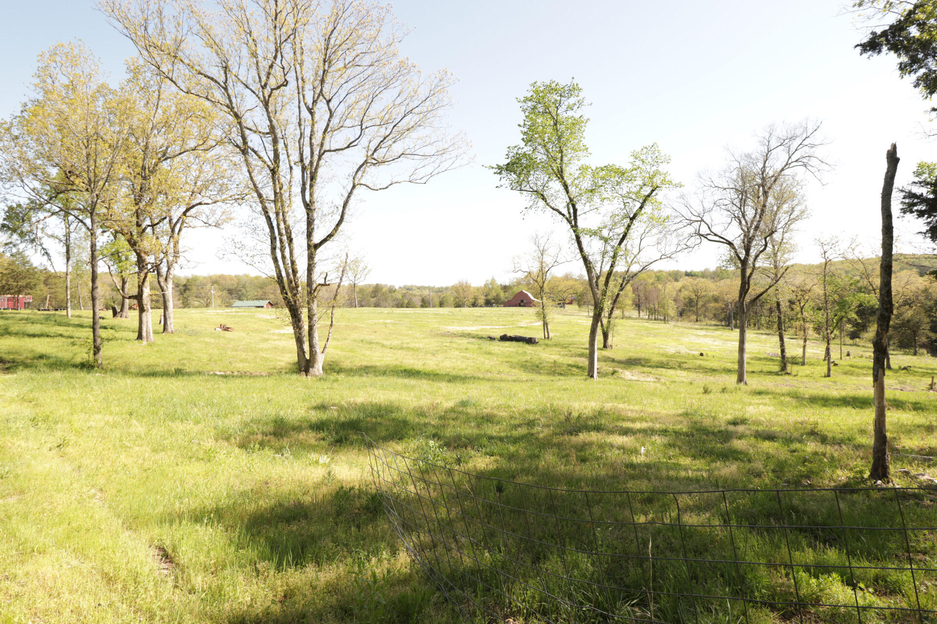 1185 Cedar Lane