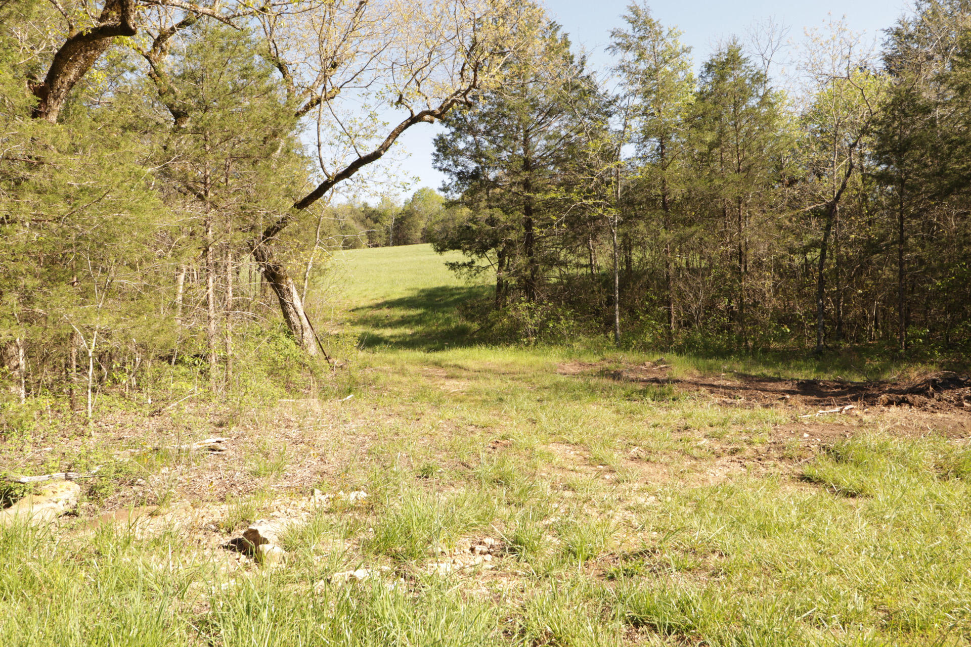 1185 Cedar Lane