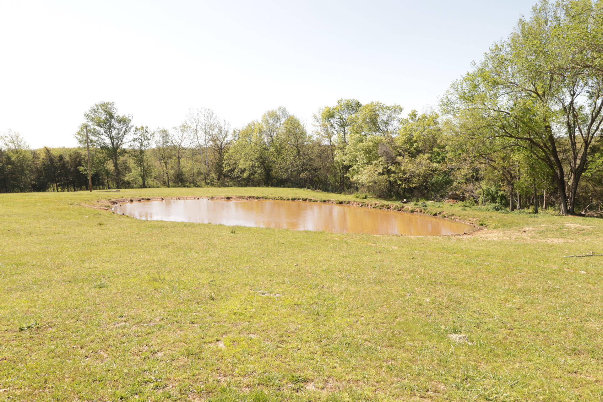 1185 Cedar Lane