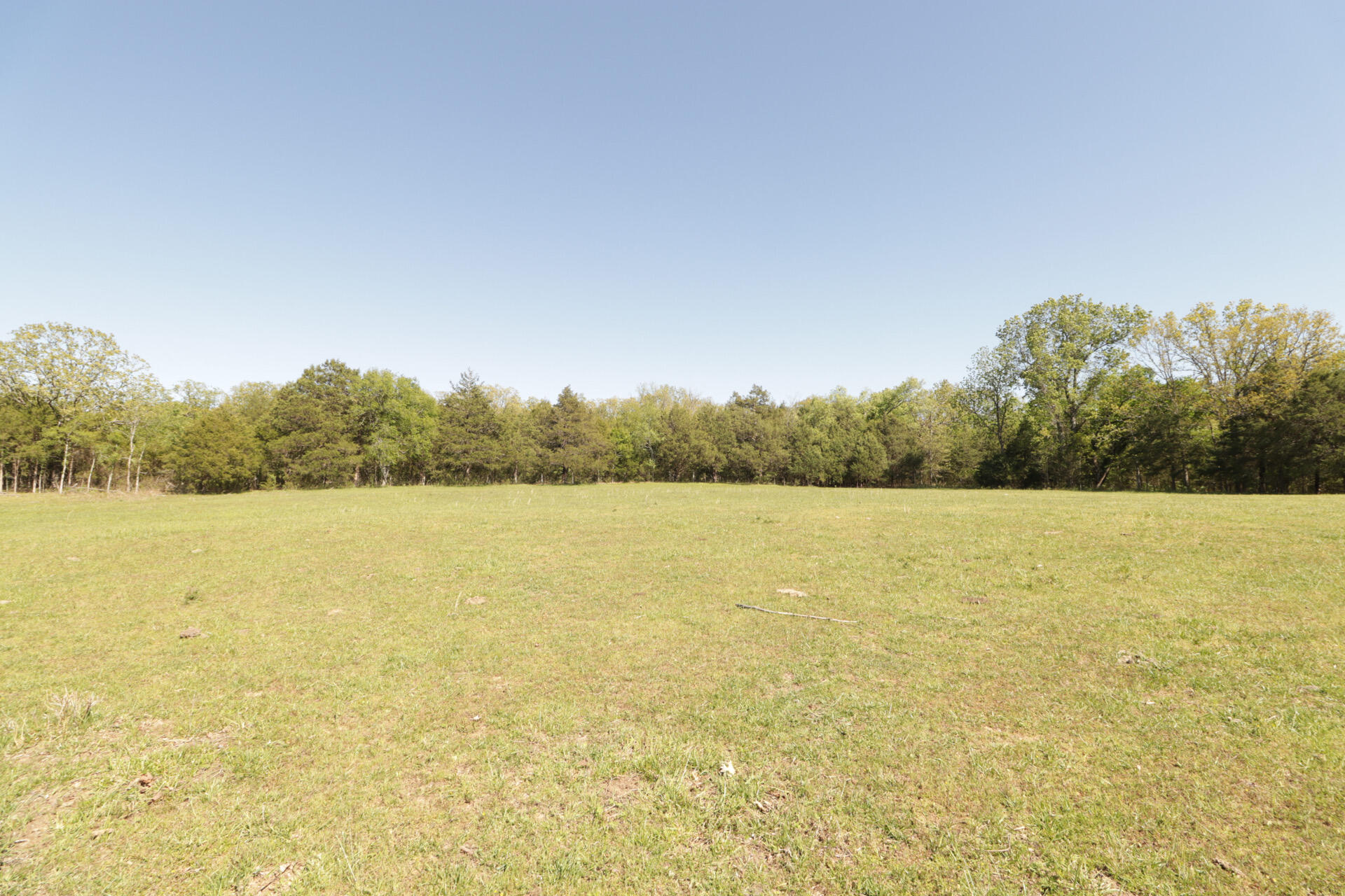 1185 Cedar Lane