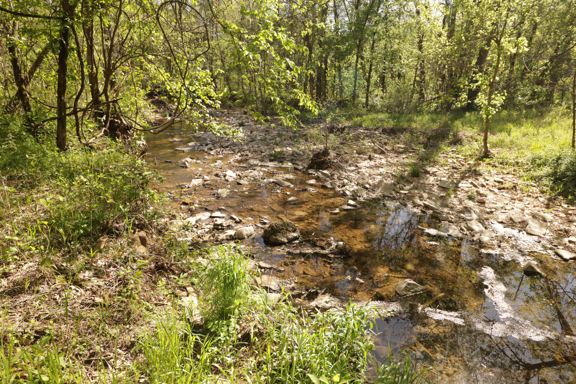 1185 Cedar Lane