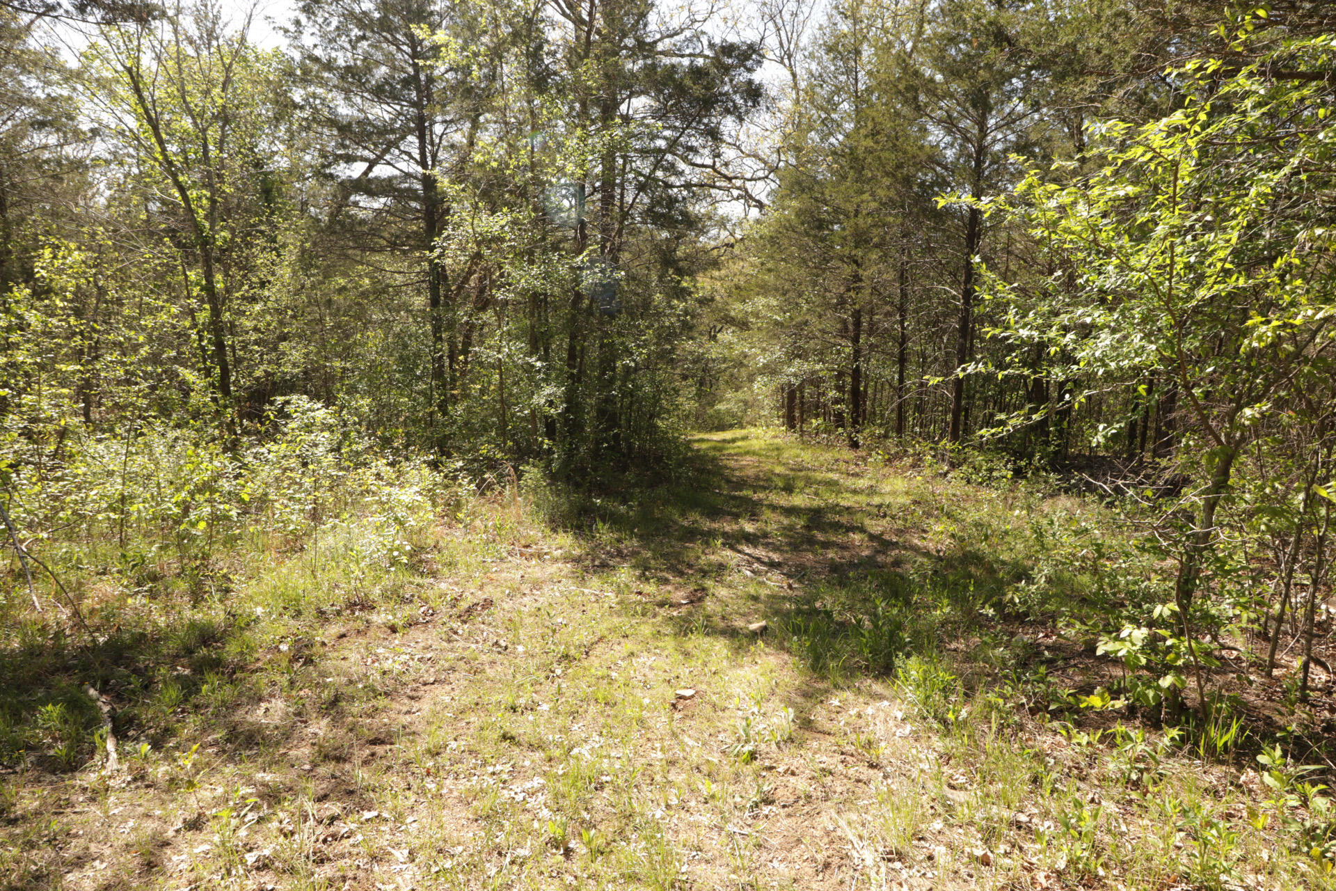 1185 Cedar Lane