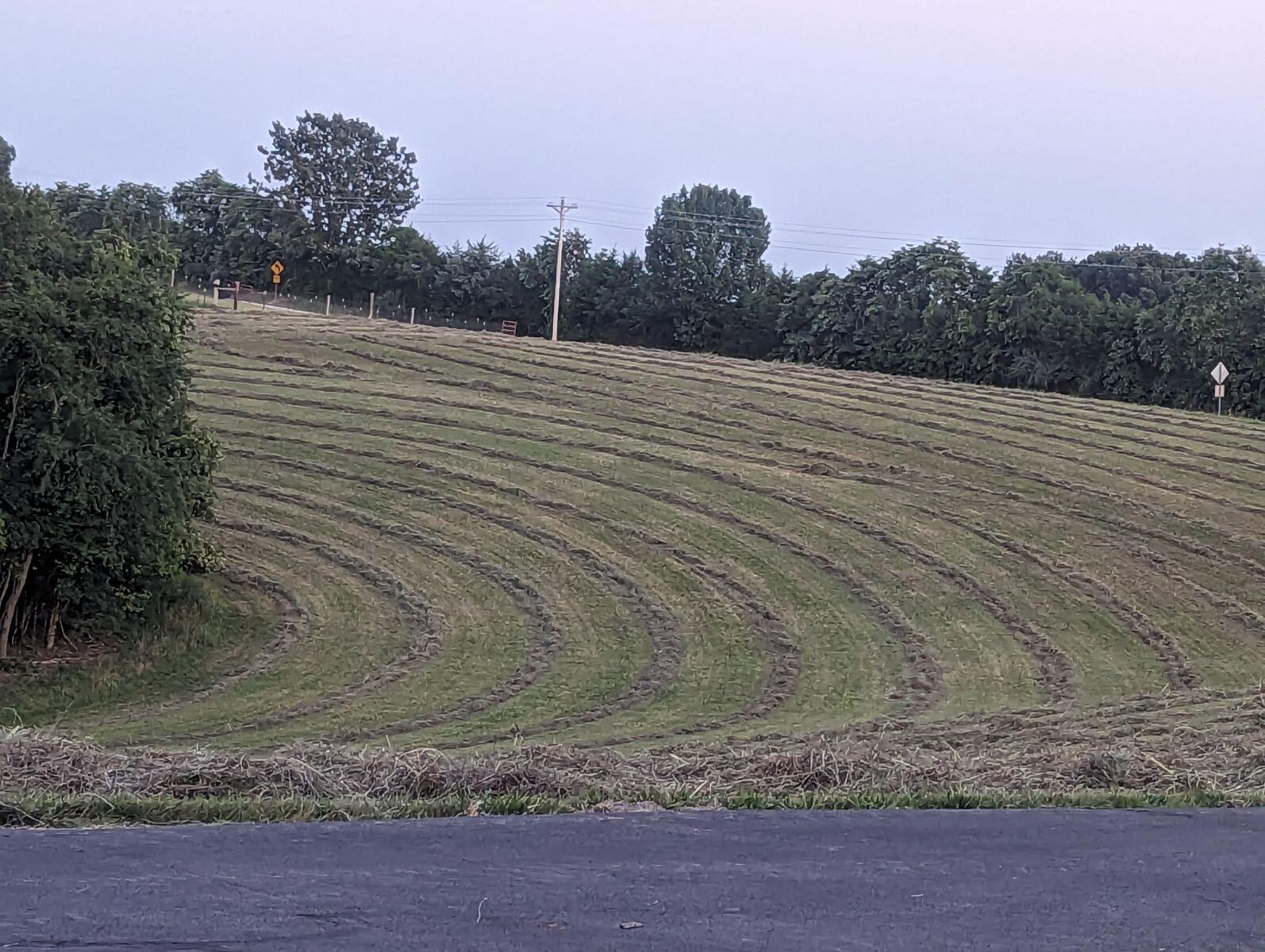 984 E State Highway 176 E