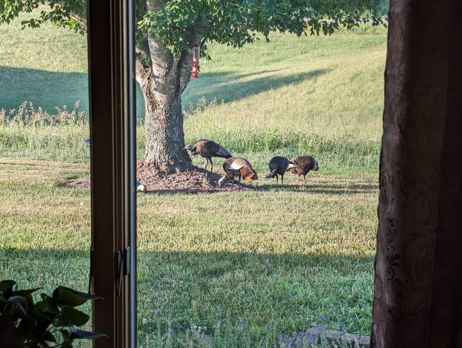 984 E State Highway 176 E