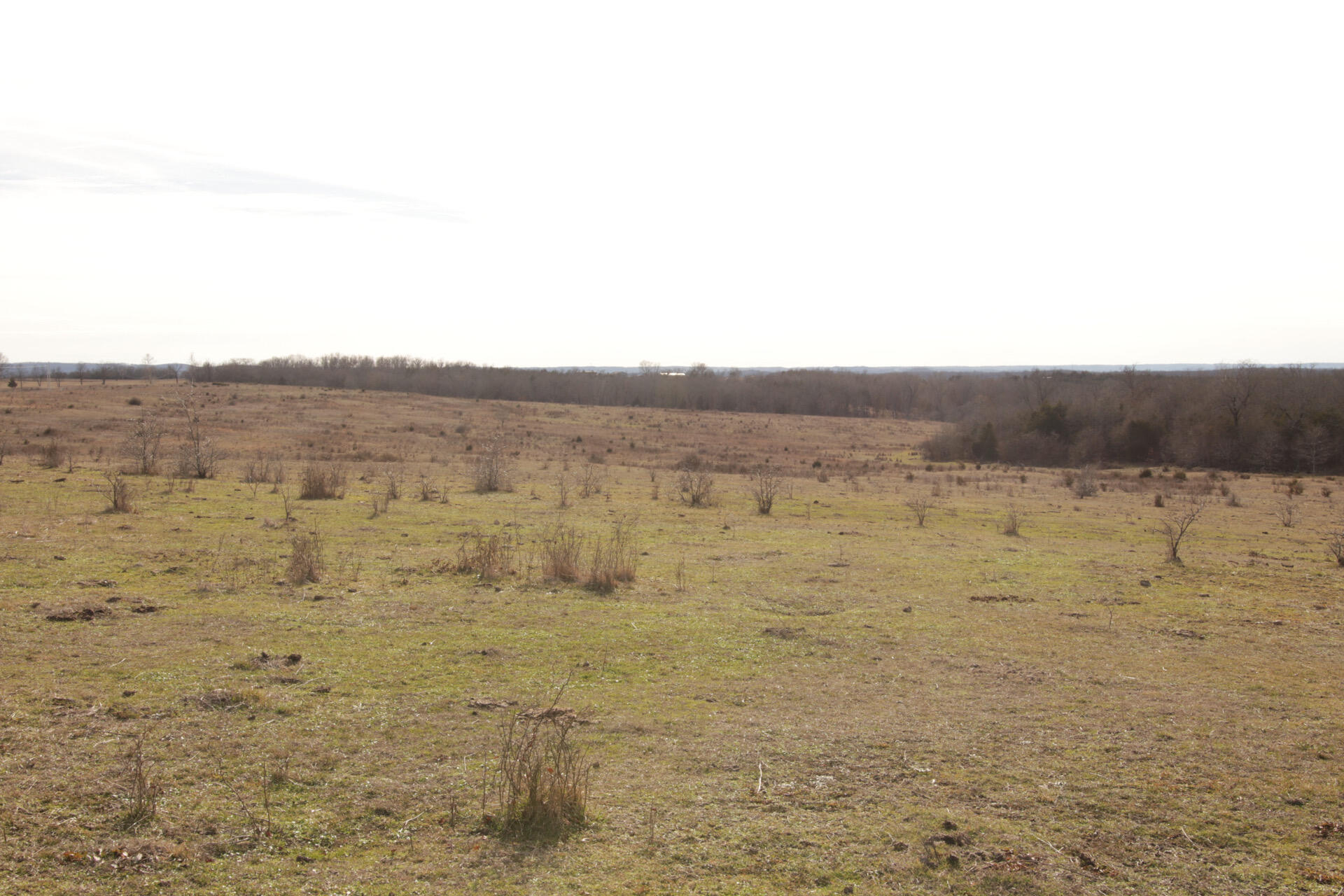 000 Lazy Acres Road