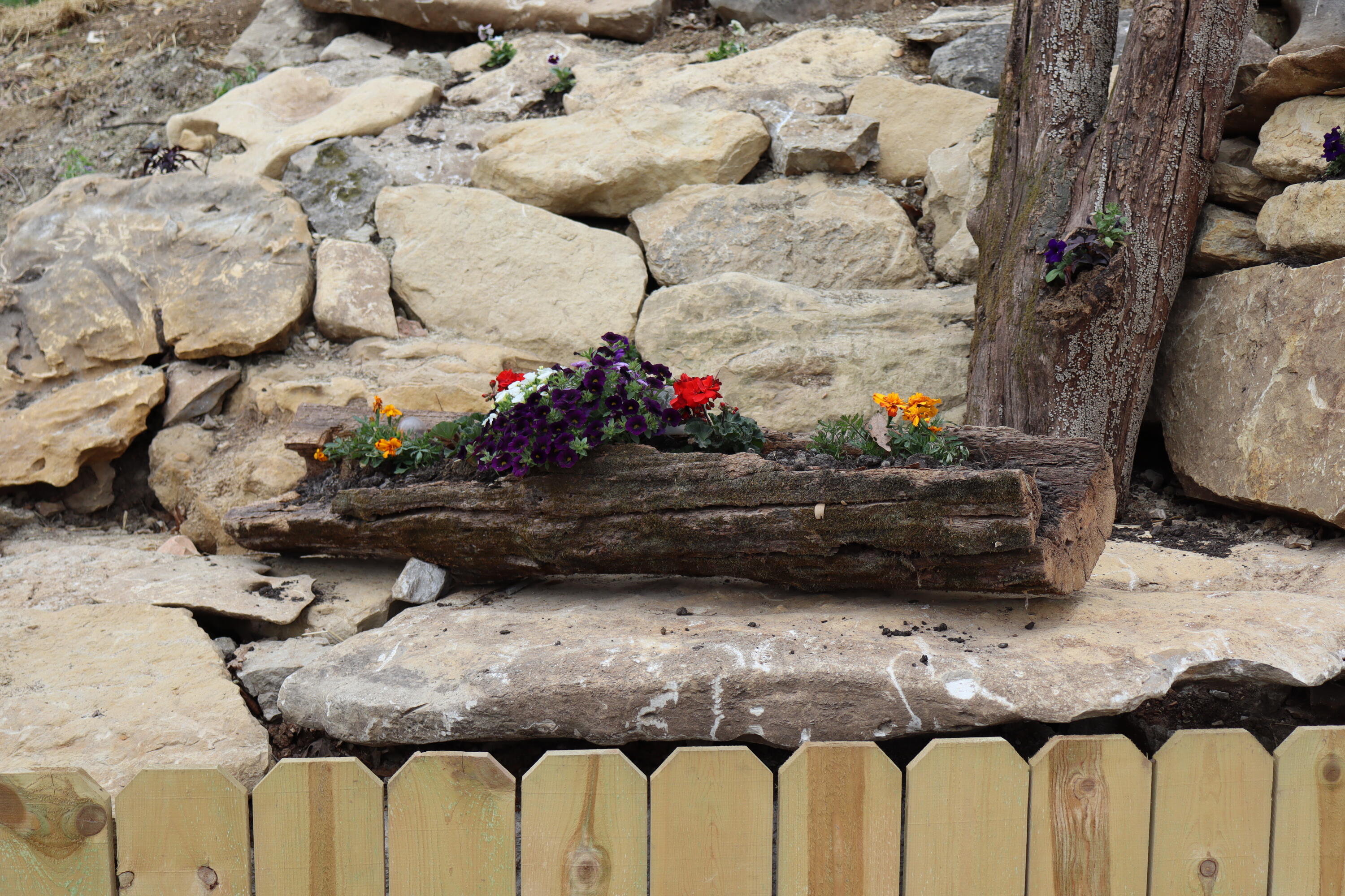 Tract 3 W Farm Road 36