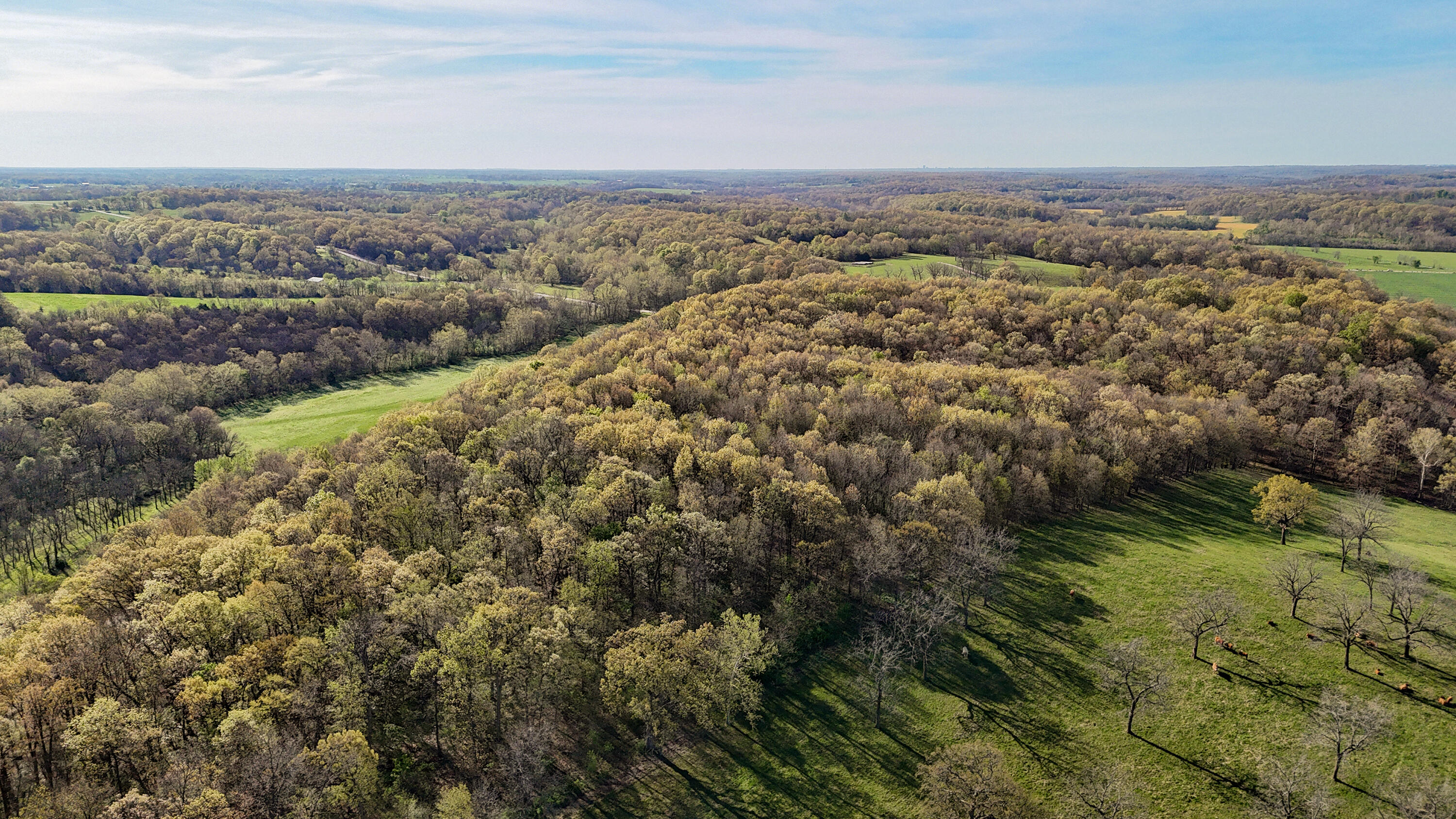 Tract 3 W Farm Road 36