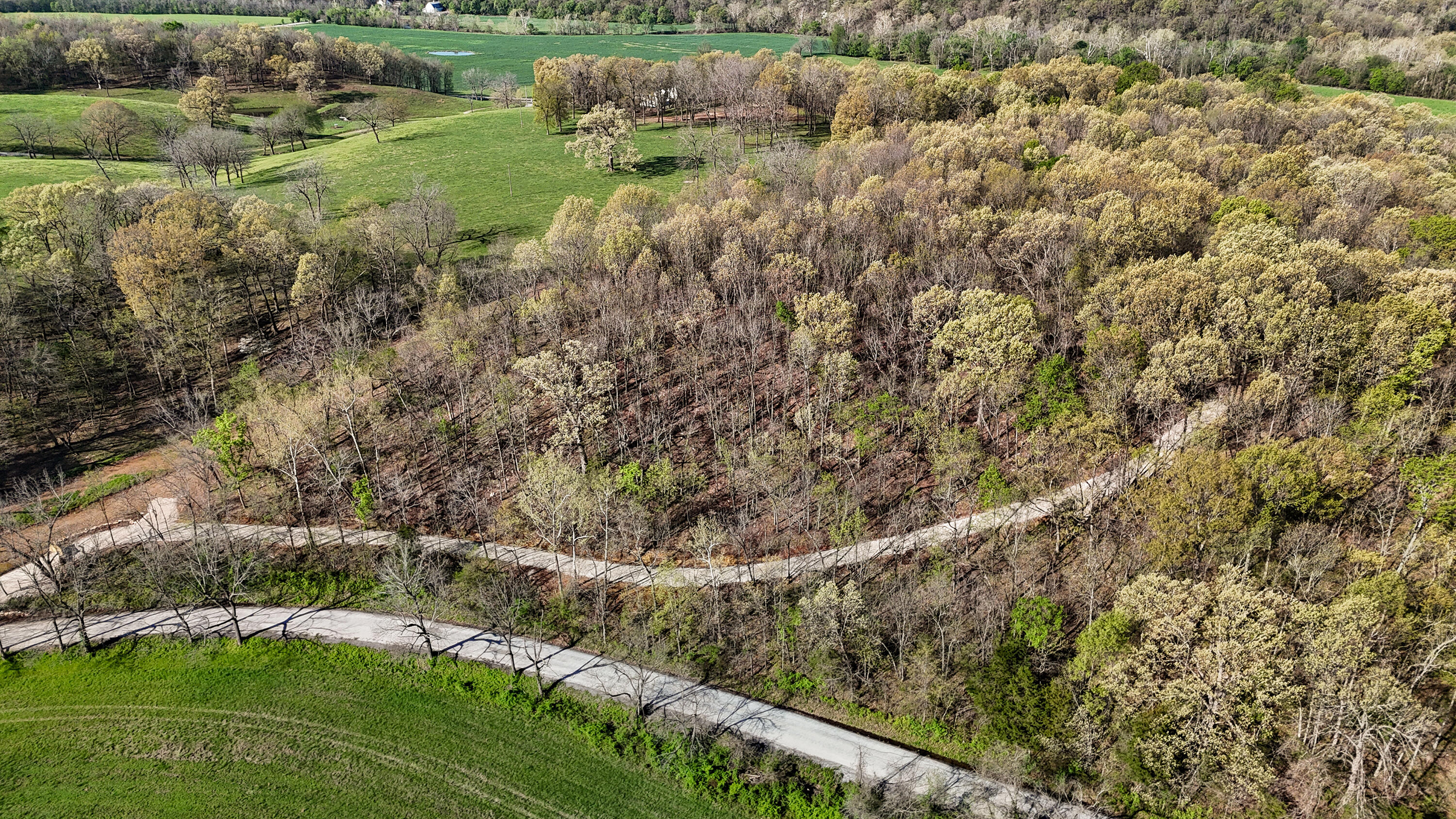 Tract 3 W Farm Road 36