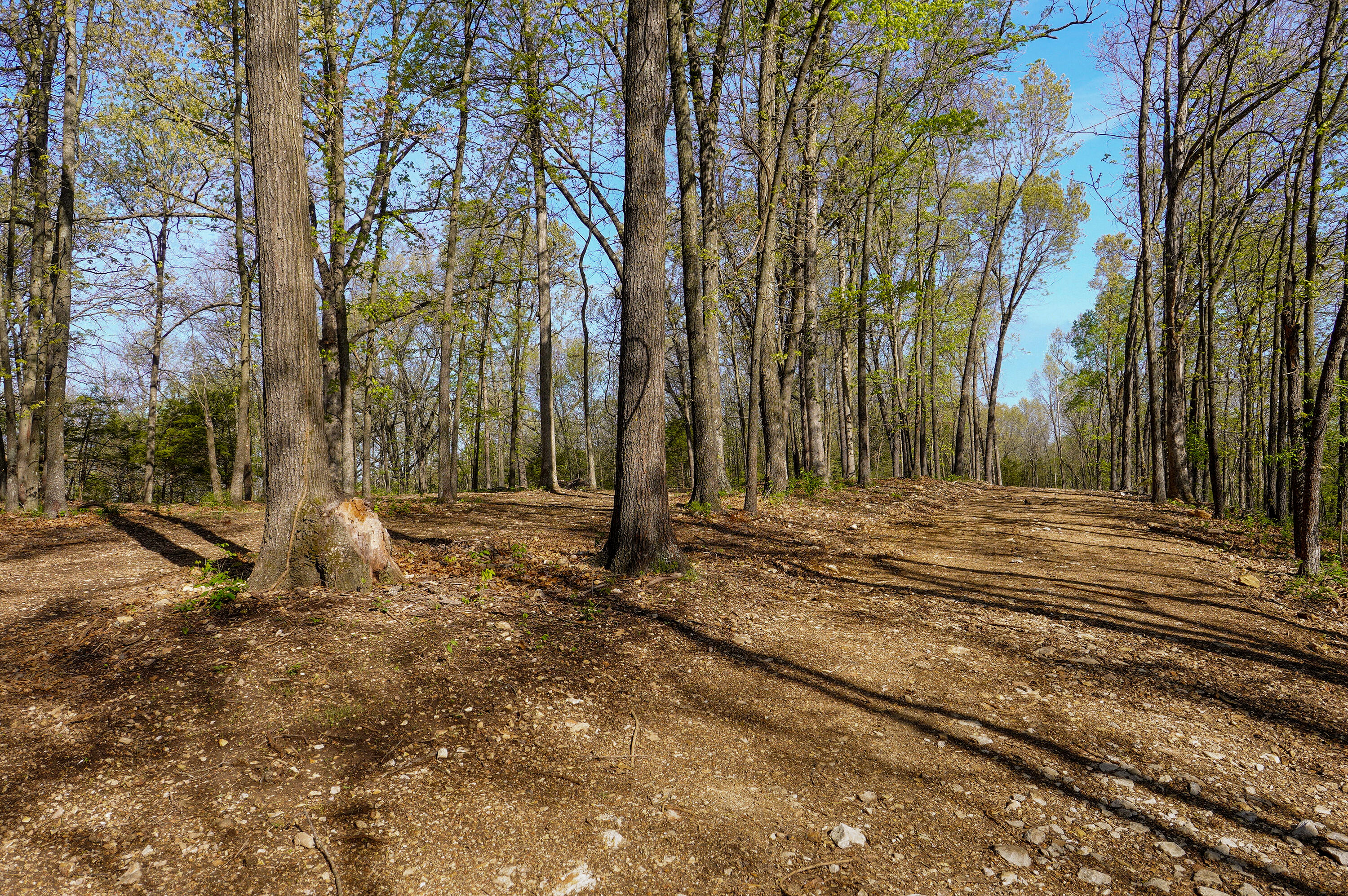 Tract 3 W Farm Road 36