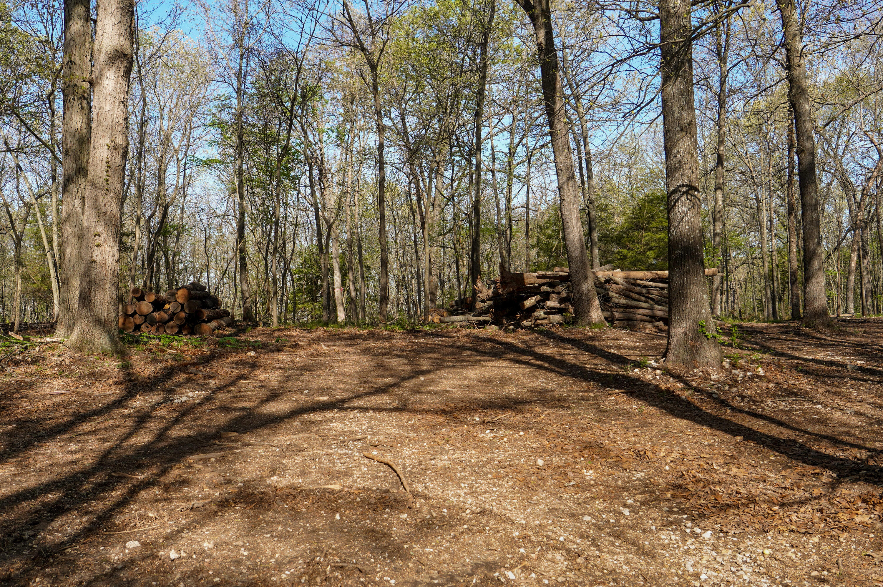 Tract 3 W Farm Road 36