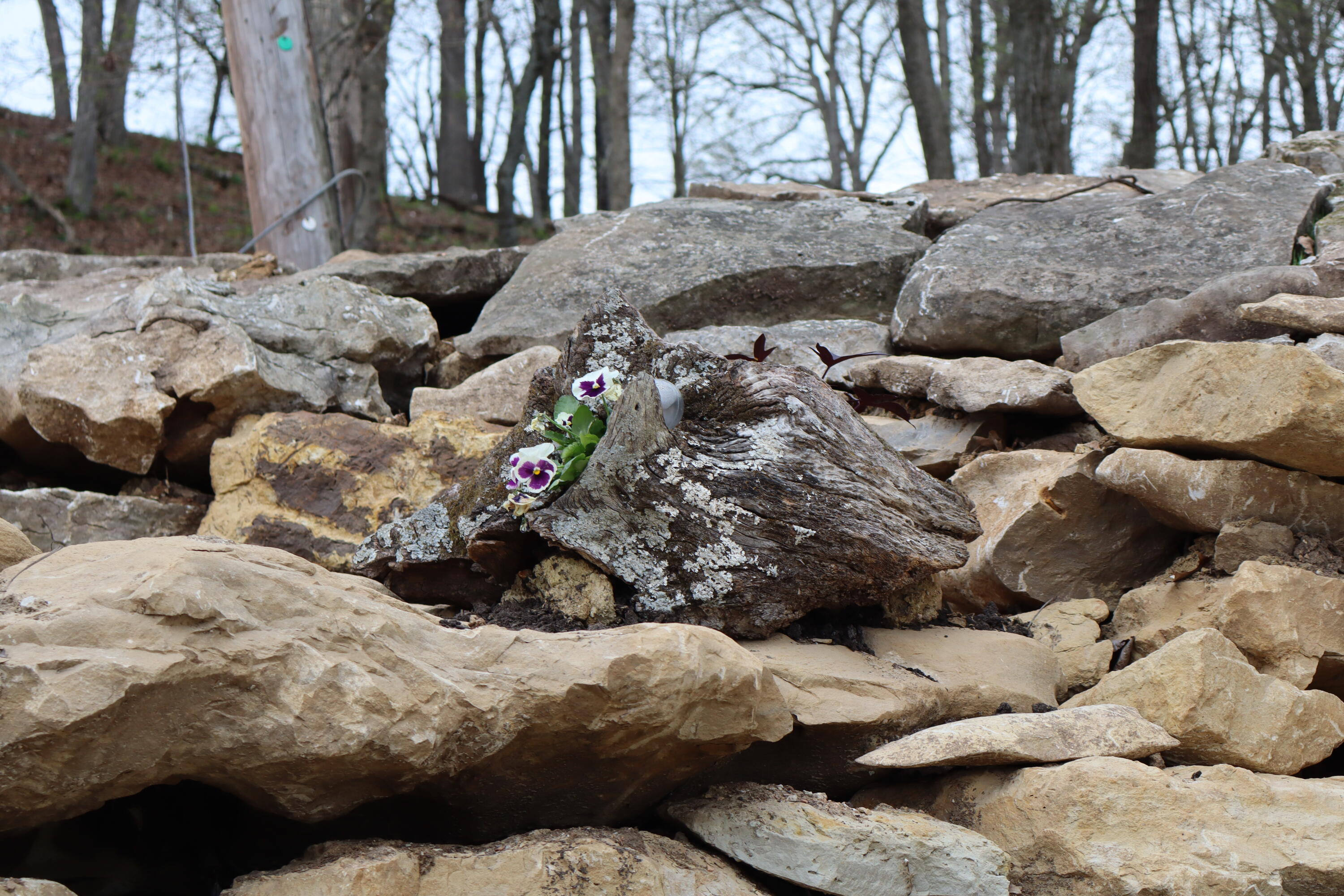 Tract 3 W Farm Road 36