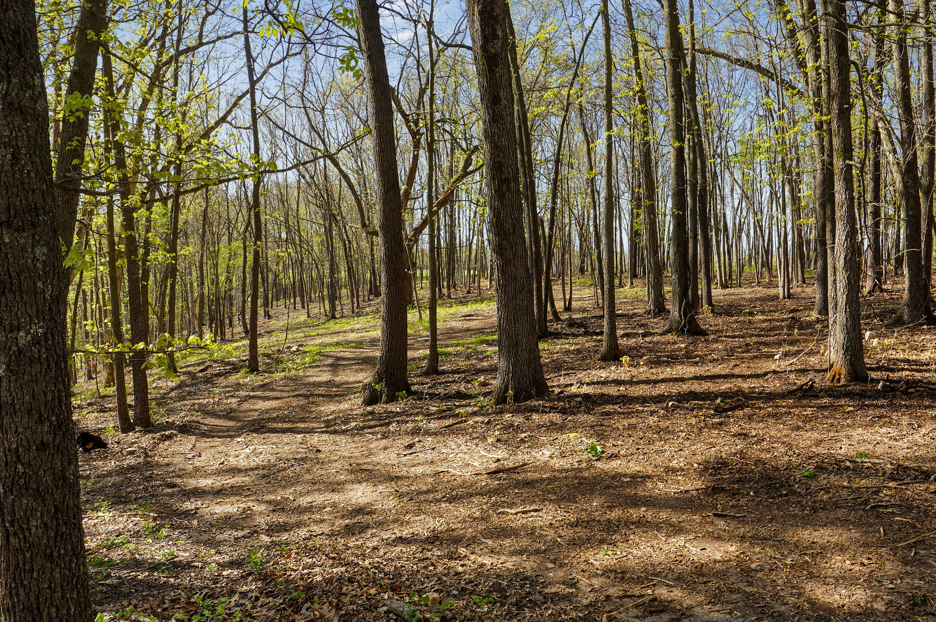 Tract 3 W Farm Road 36