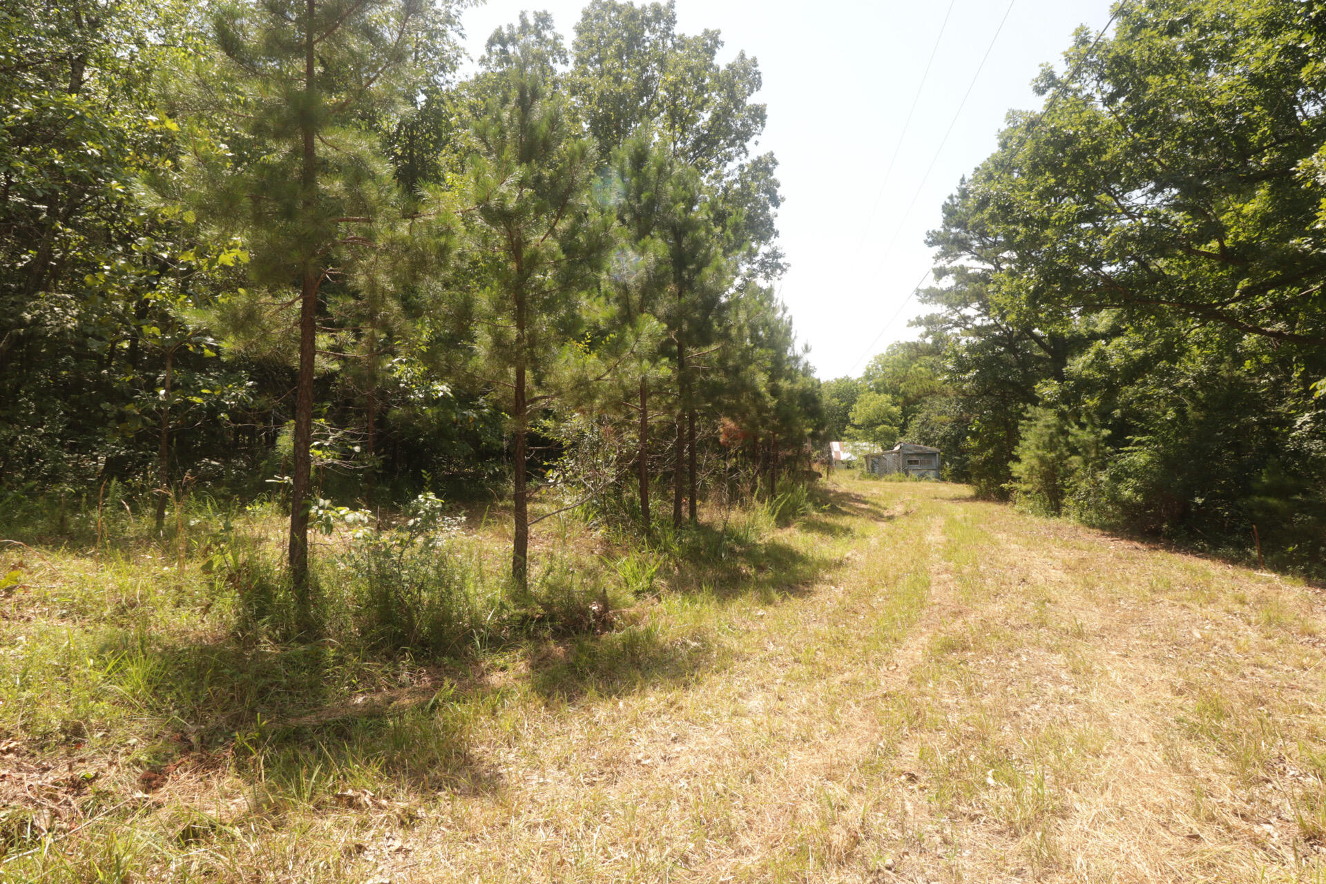 Tbd County Road 867