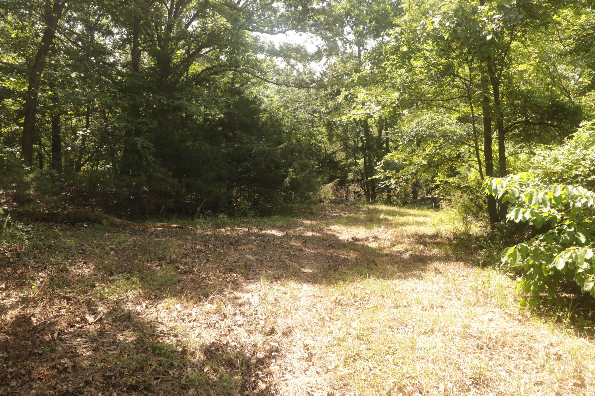 Tbd County Road 867