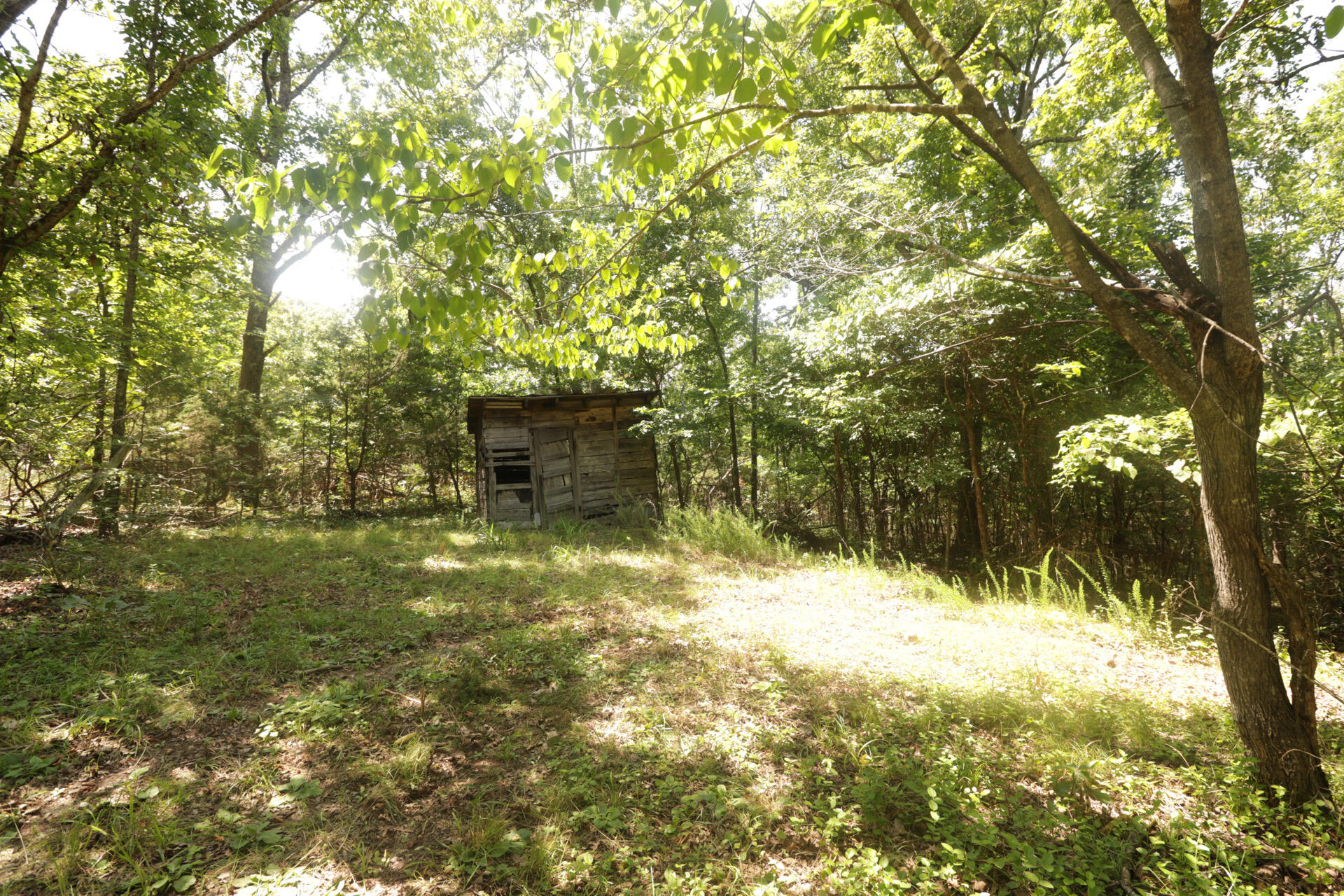 Tbd County Road 867