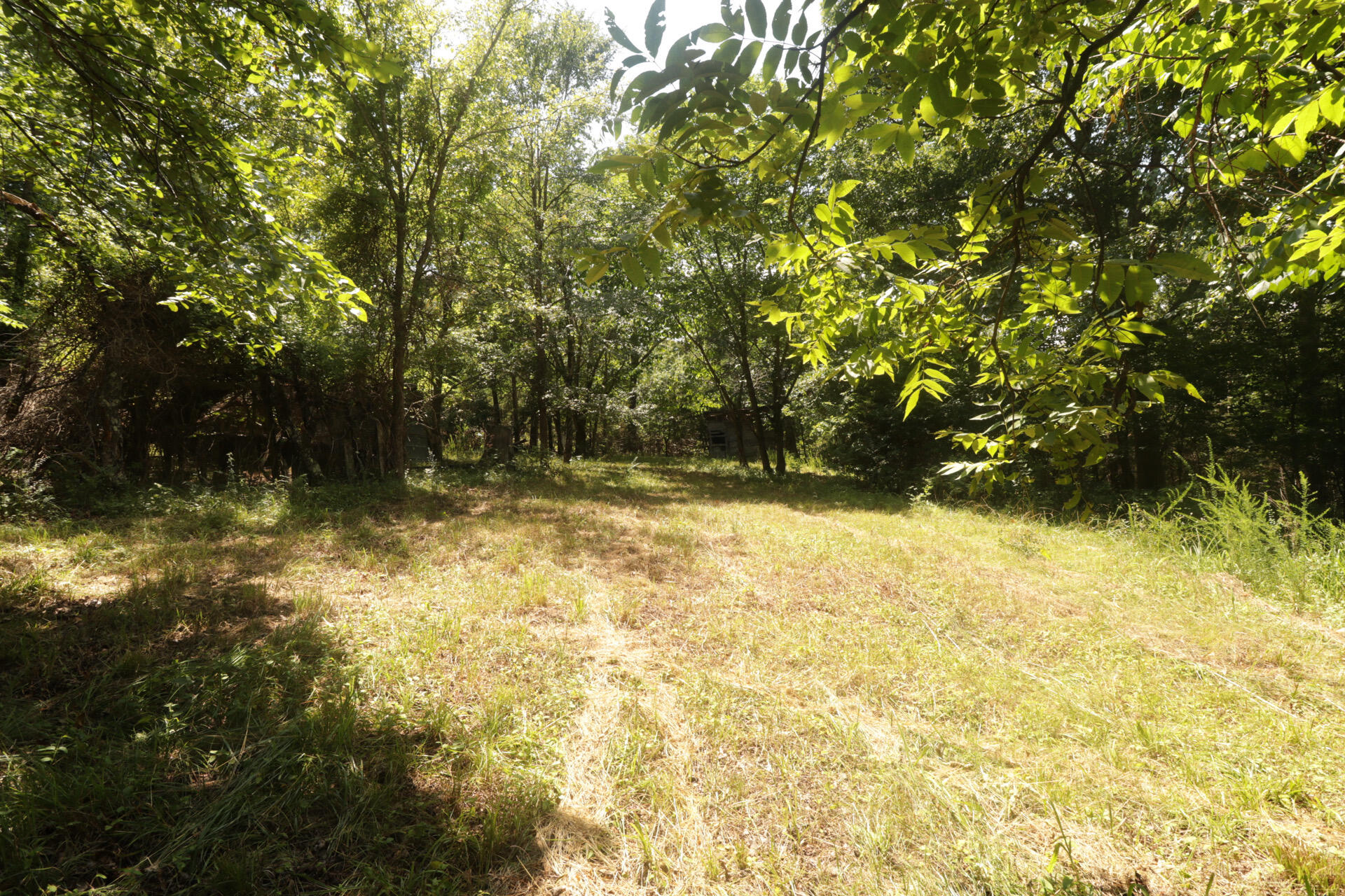 Tbd County Road 867