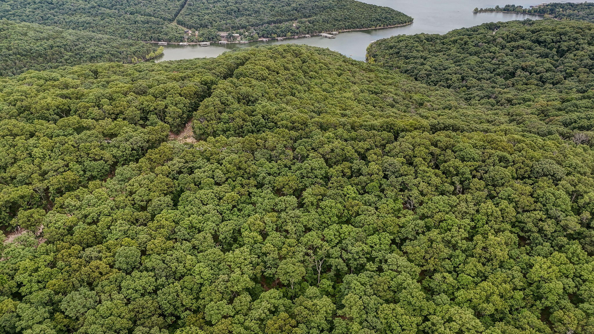 000 Buttermilk Spring Road