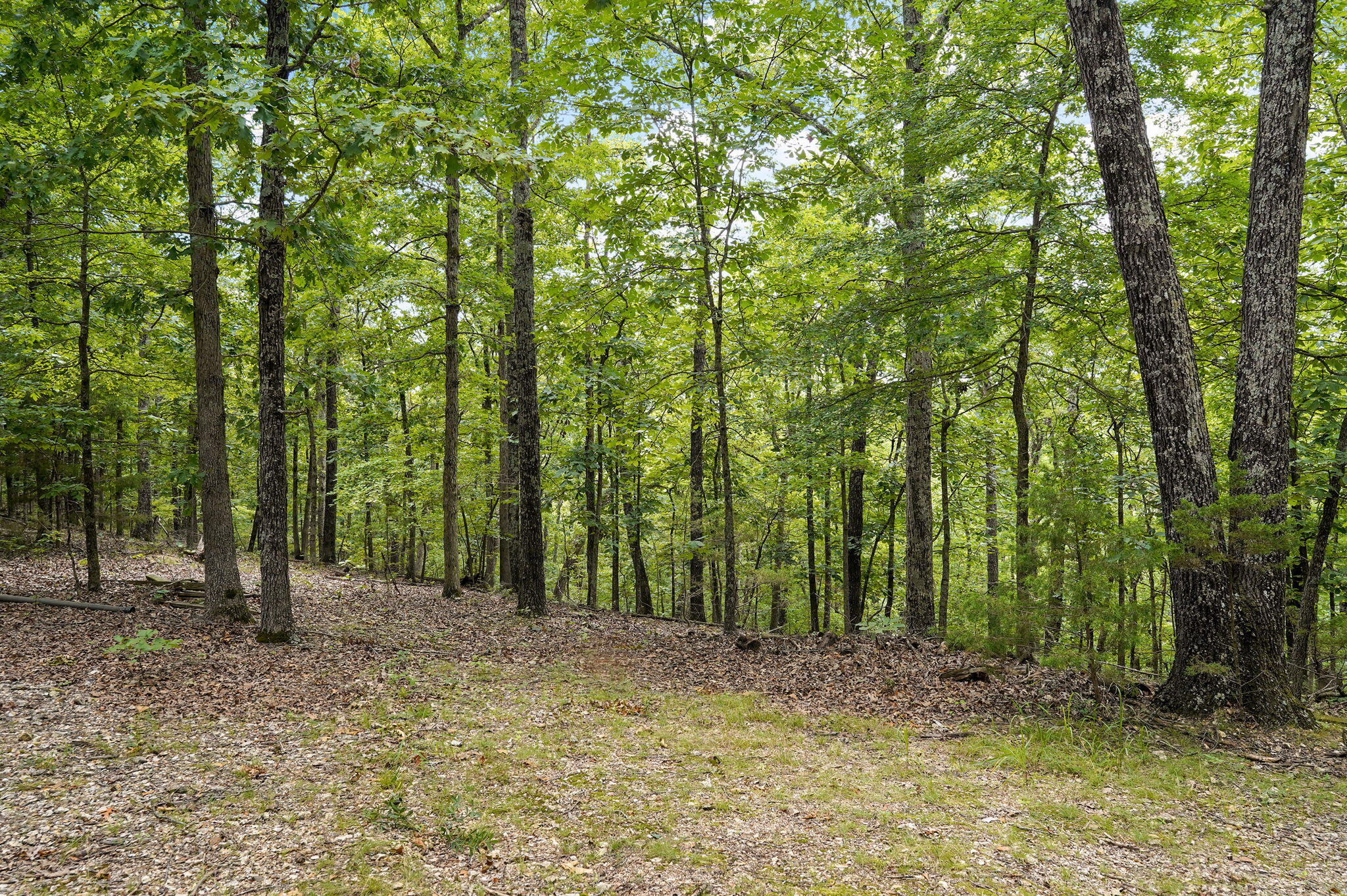 000 Buttermilk Spring Road