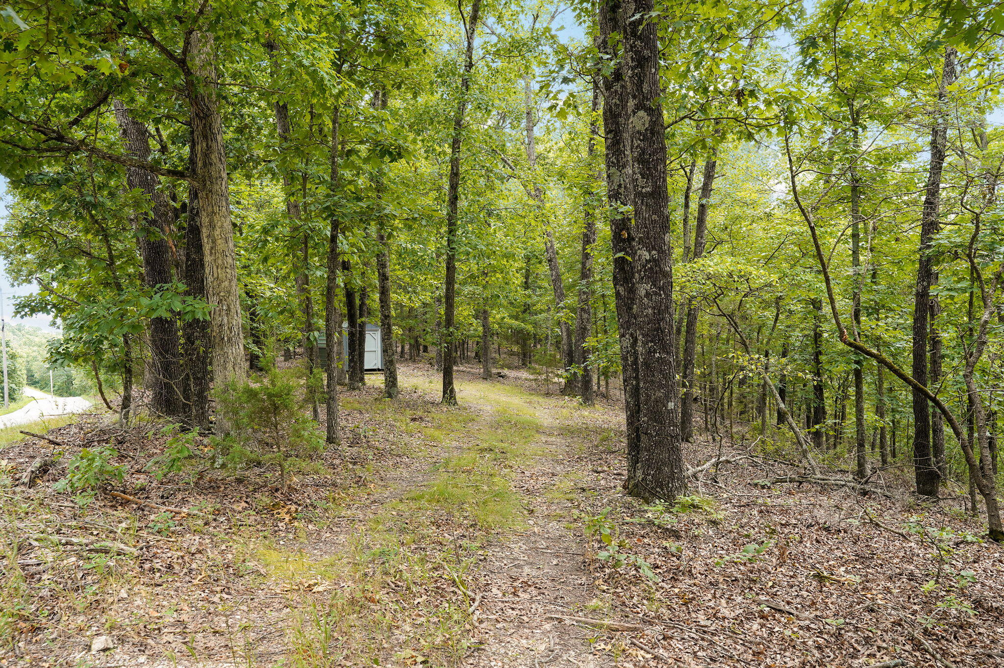 000 Buttermilk Spring Road